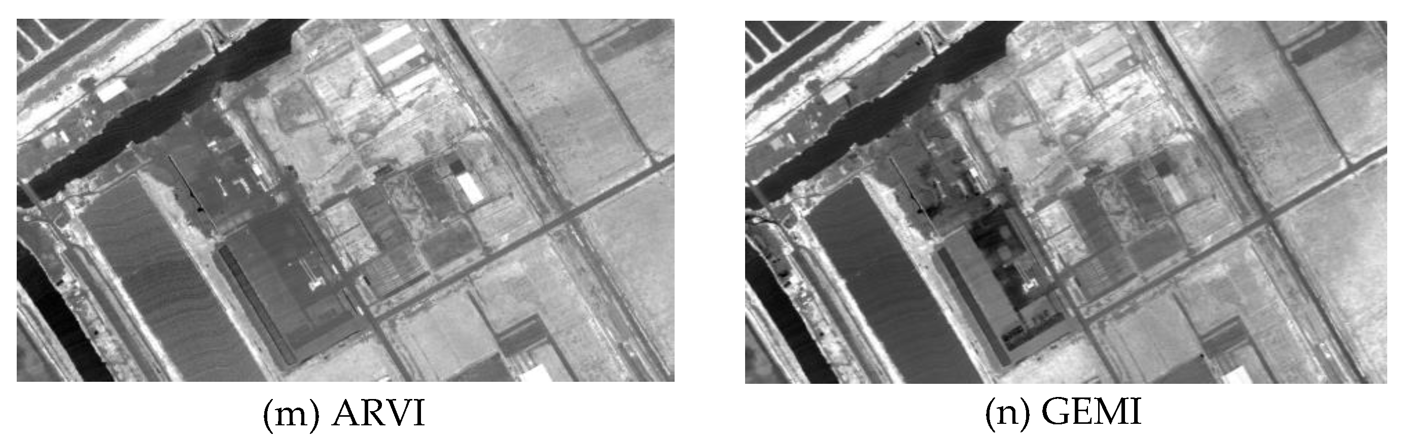 Remotesensing 09 00589 g004b