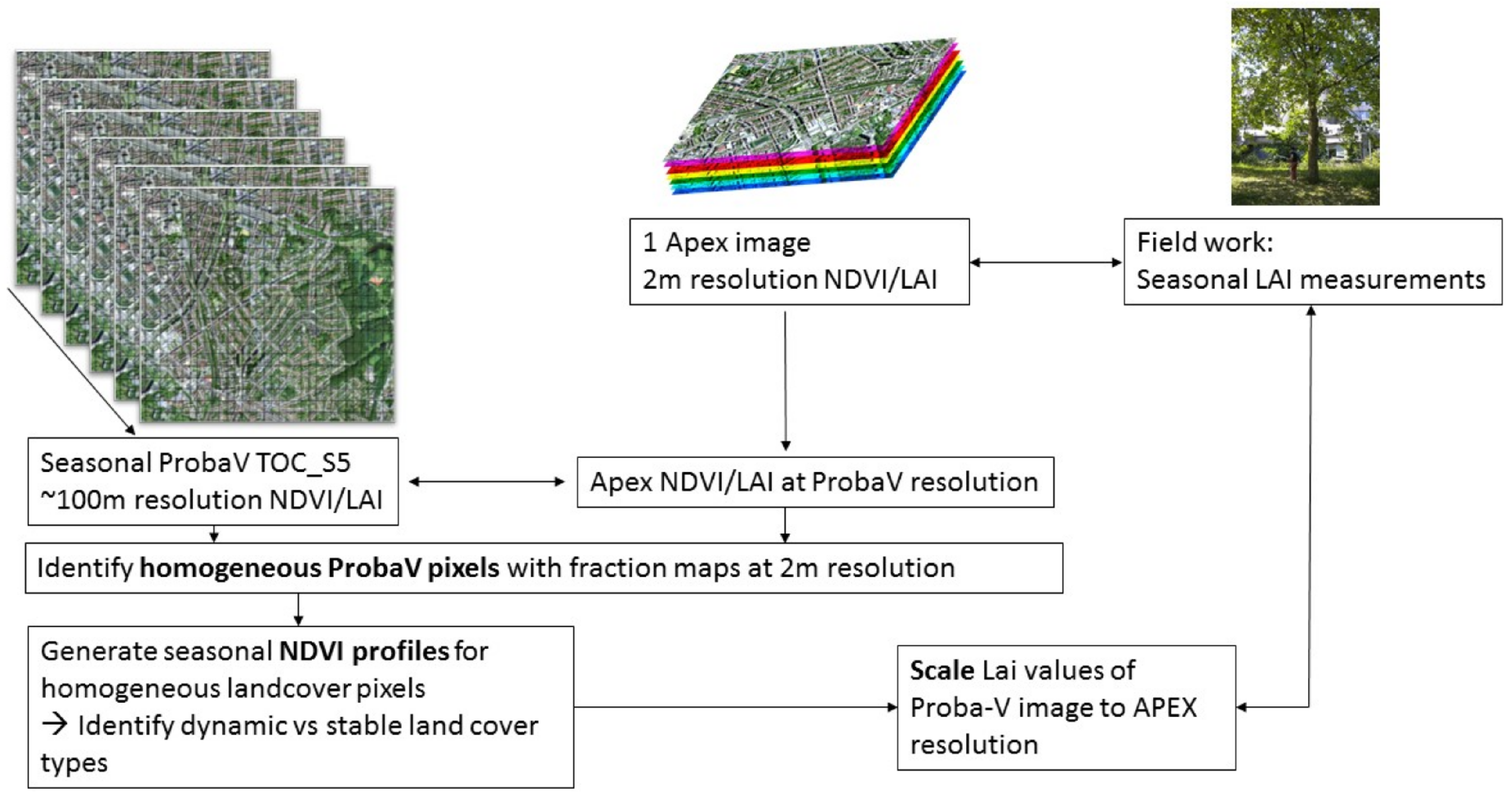 Remotesensing 09 00645 g003 550