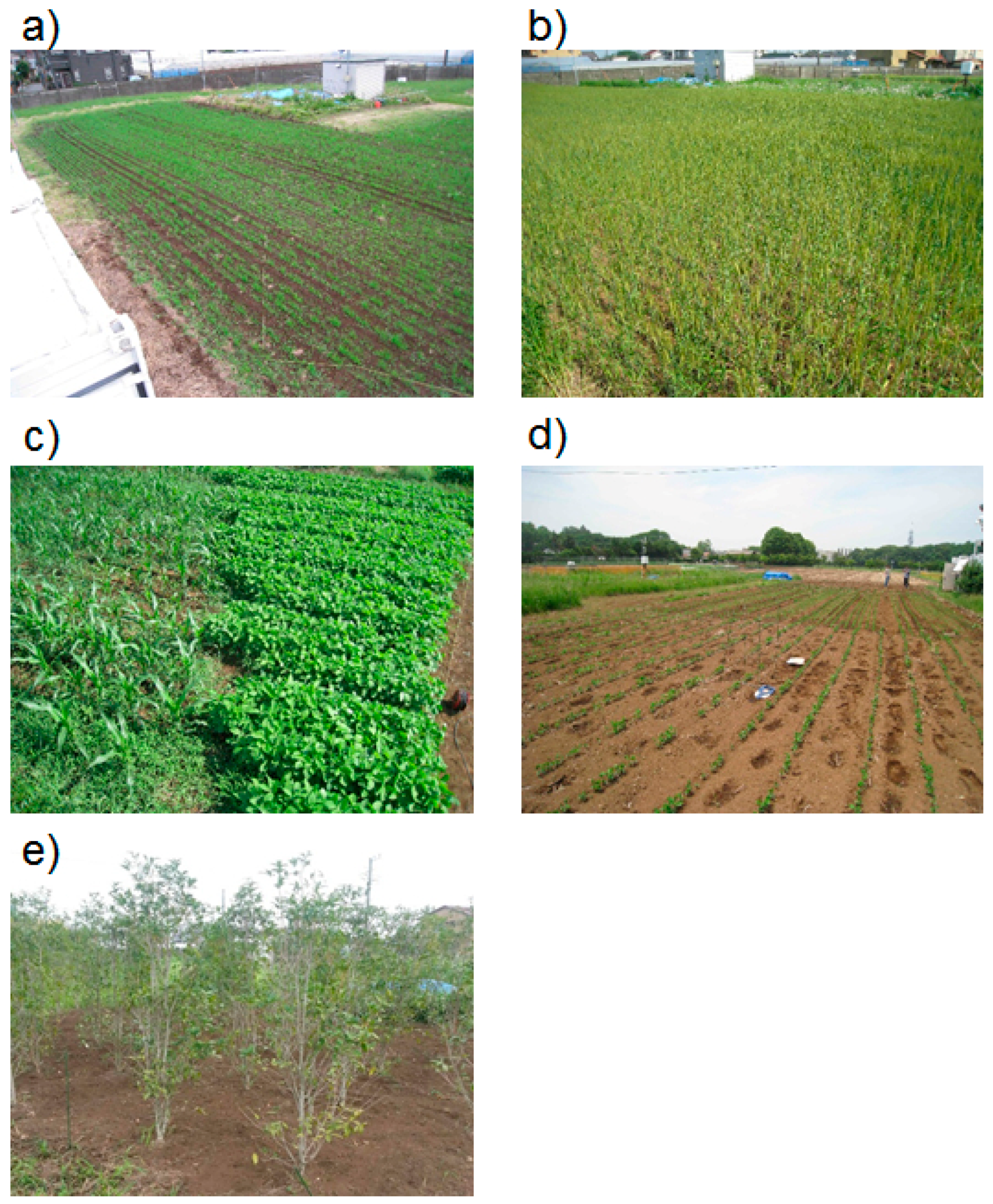 Remotesensing 09 00655 g002 550