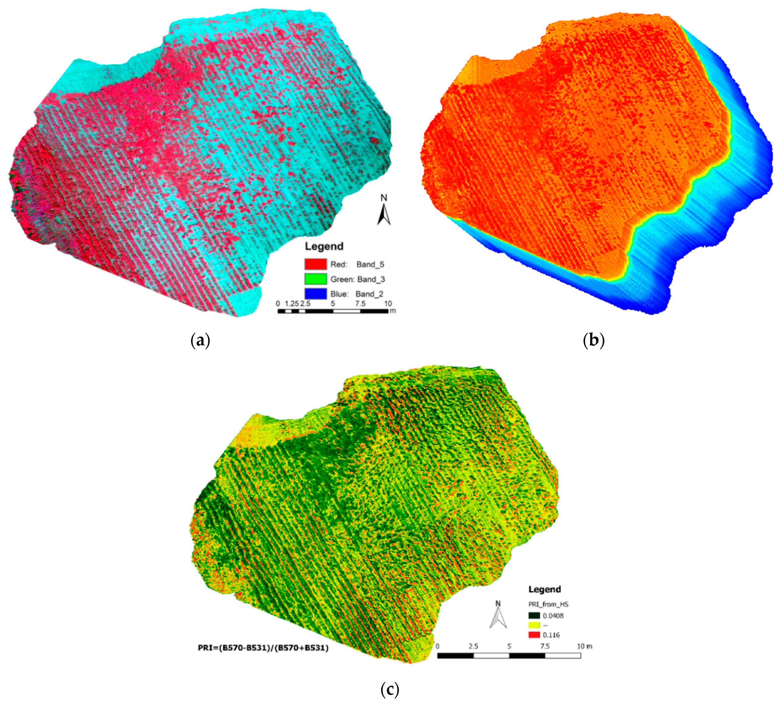 Remotesensing 09 00696 g010 550