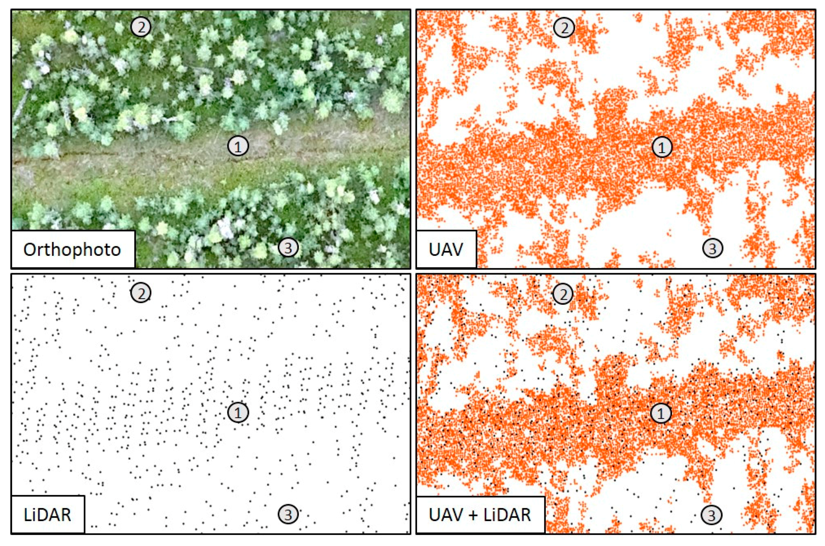 Remotesensing 09 00715 g005 550