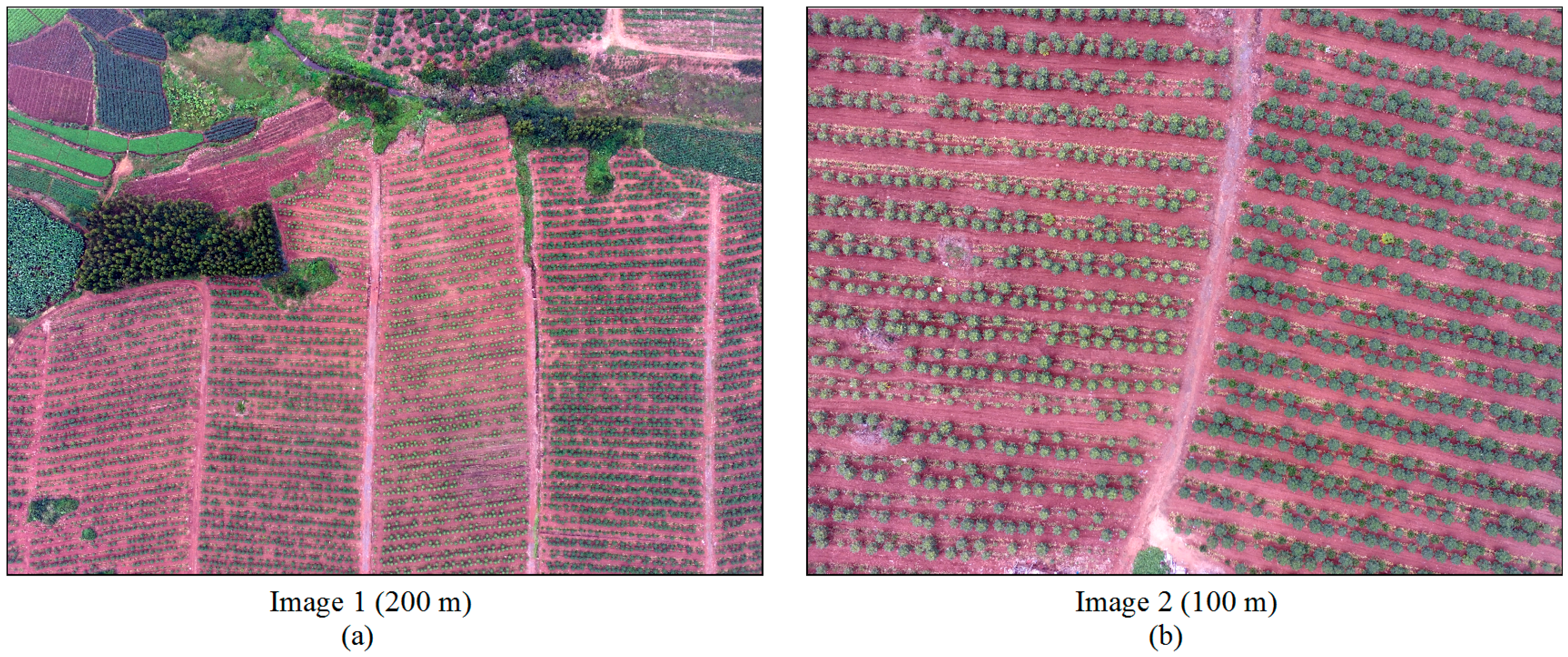 Remotesensing 09 00721 g001 550