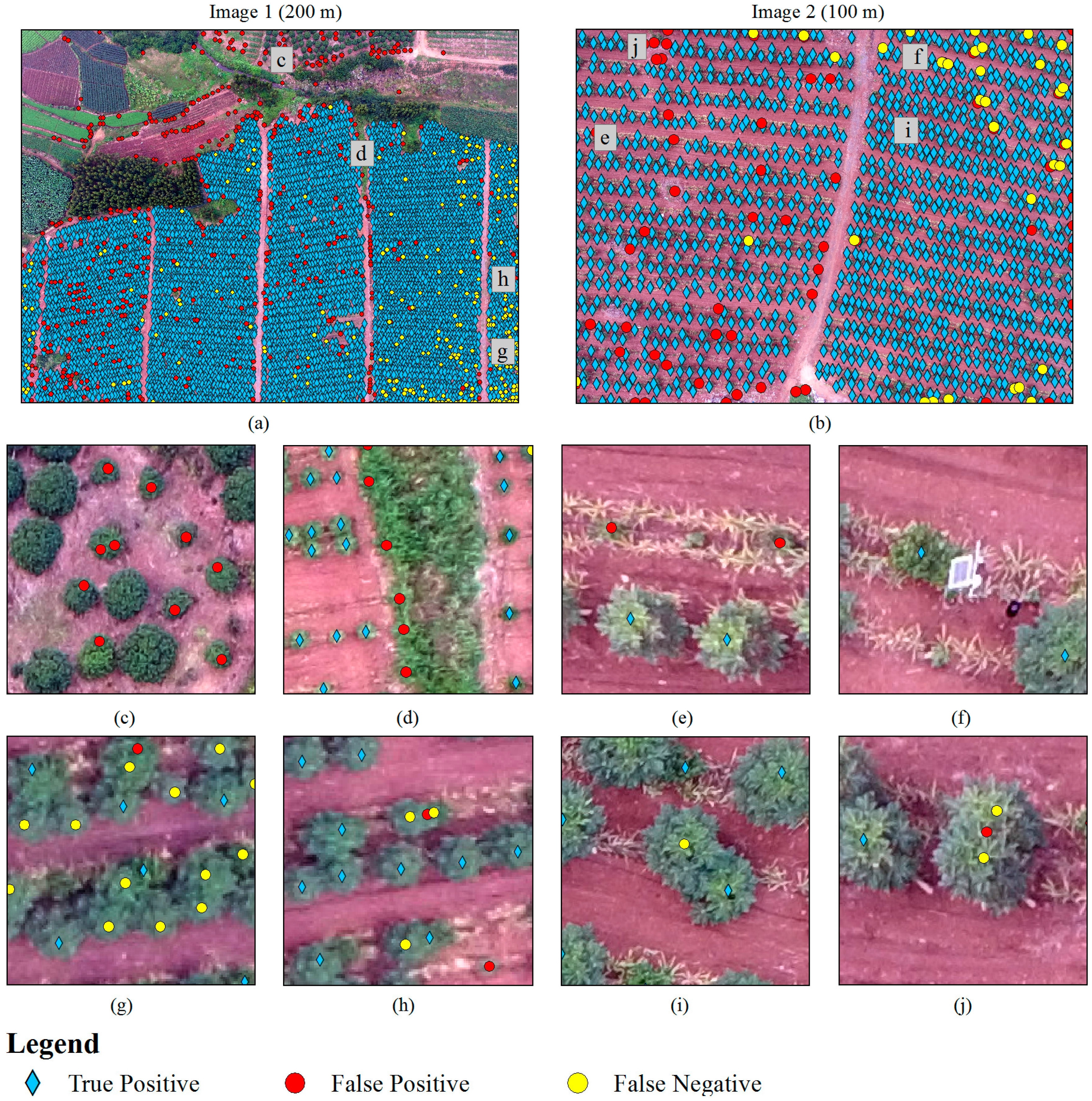 Remotesensing 09 00721 g004 550