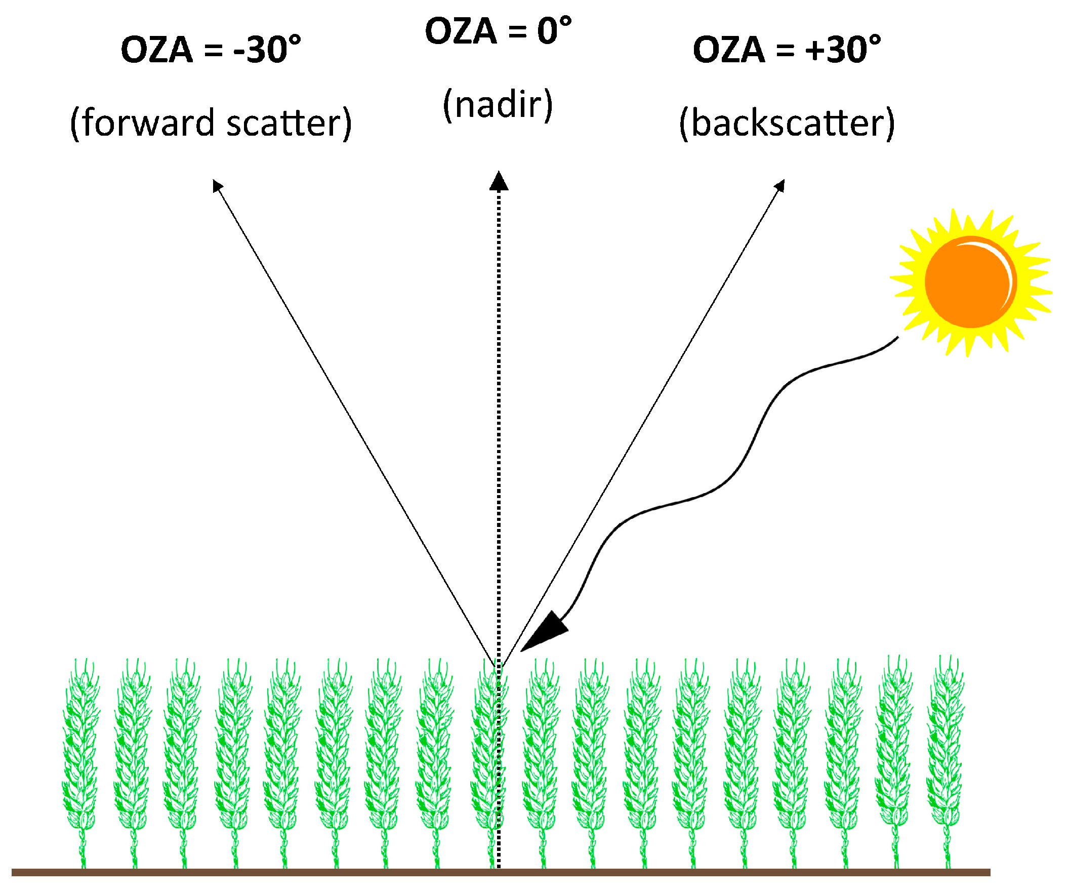 Remotesensing 09 00726 g001 550
