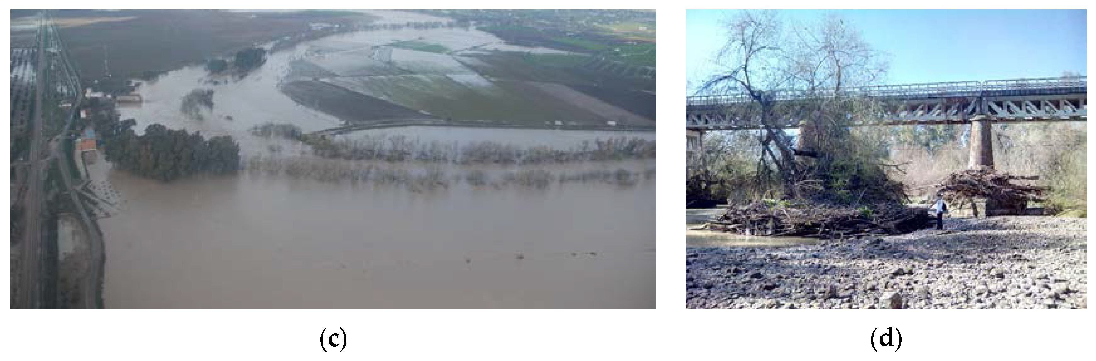 Remotesensing 09 00727 g004b 550