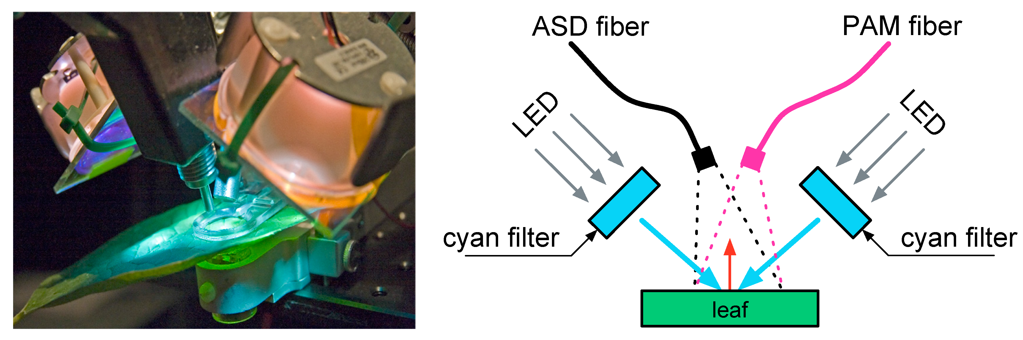 Remotesensing 09 00770 g002 550