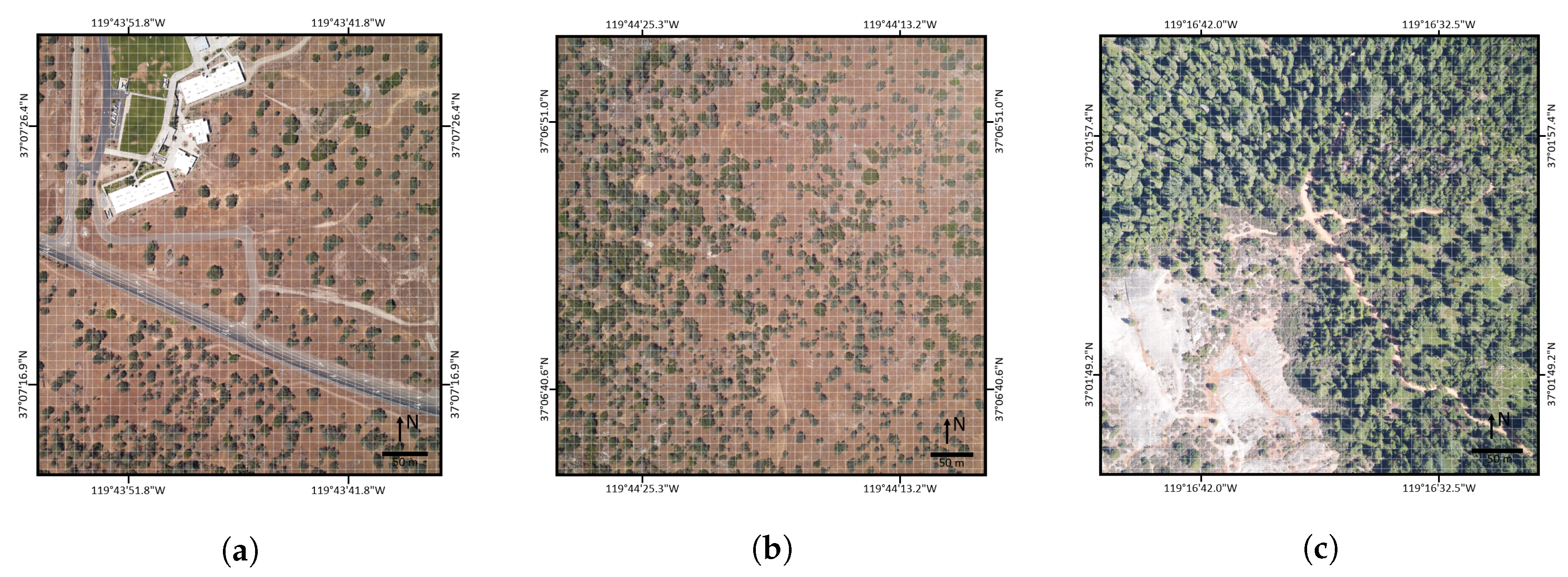 Remotesensing 09 00793 g001 550