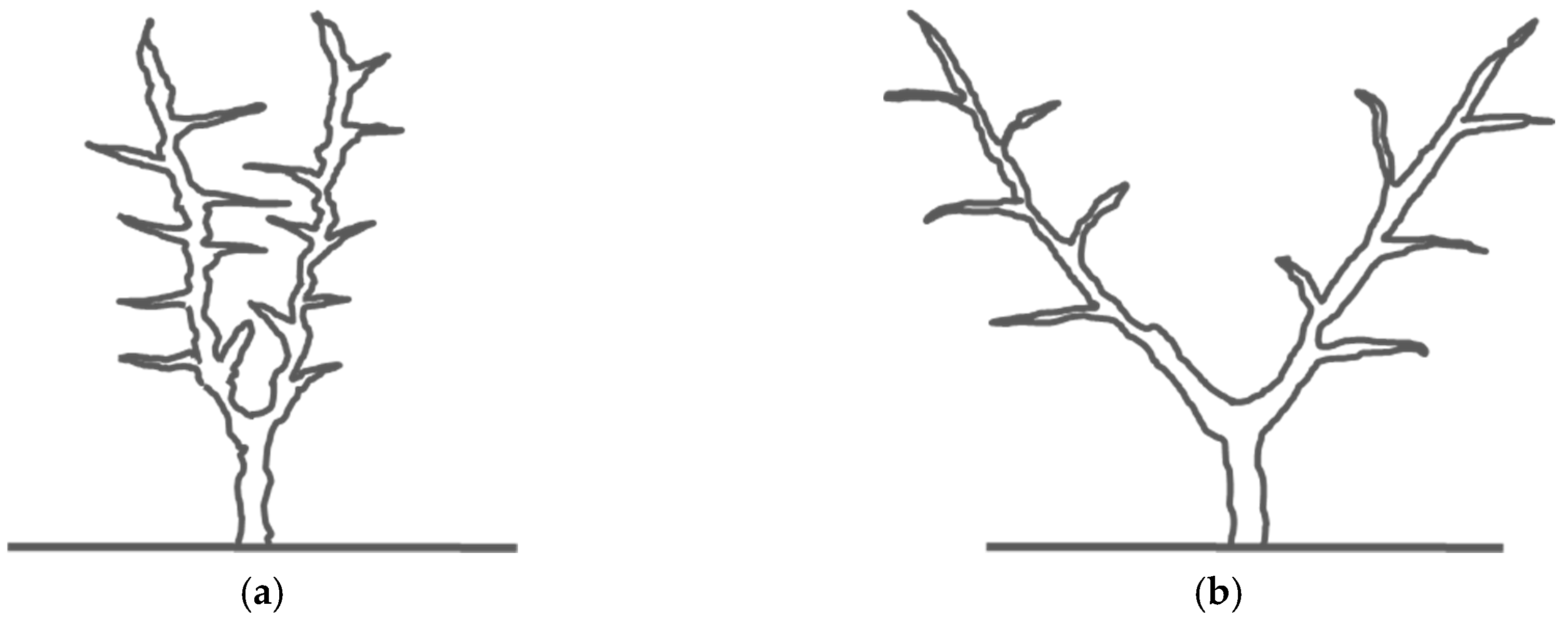 Remotesensing 09 00828 g001 550