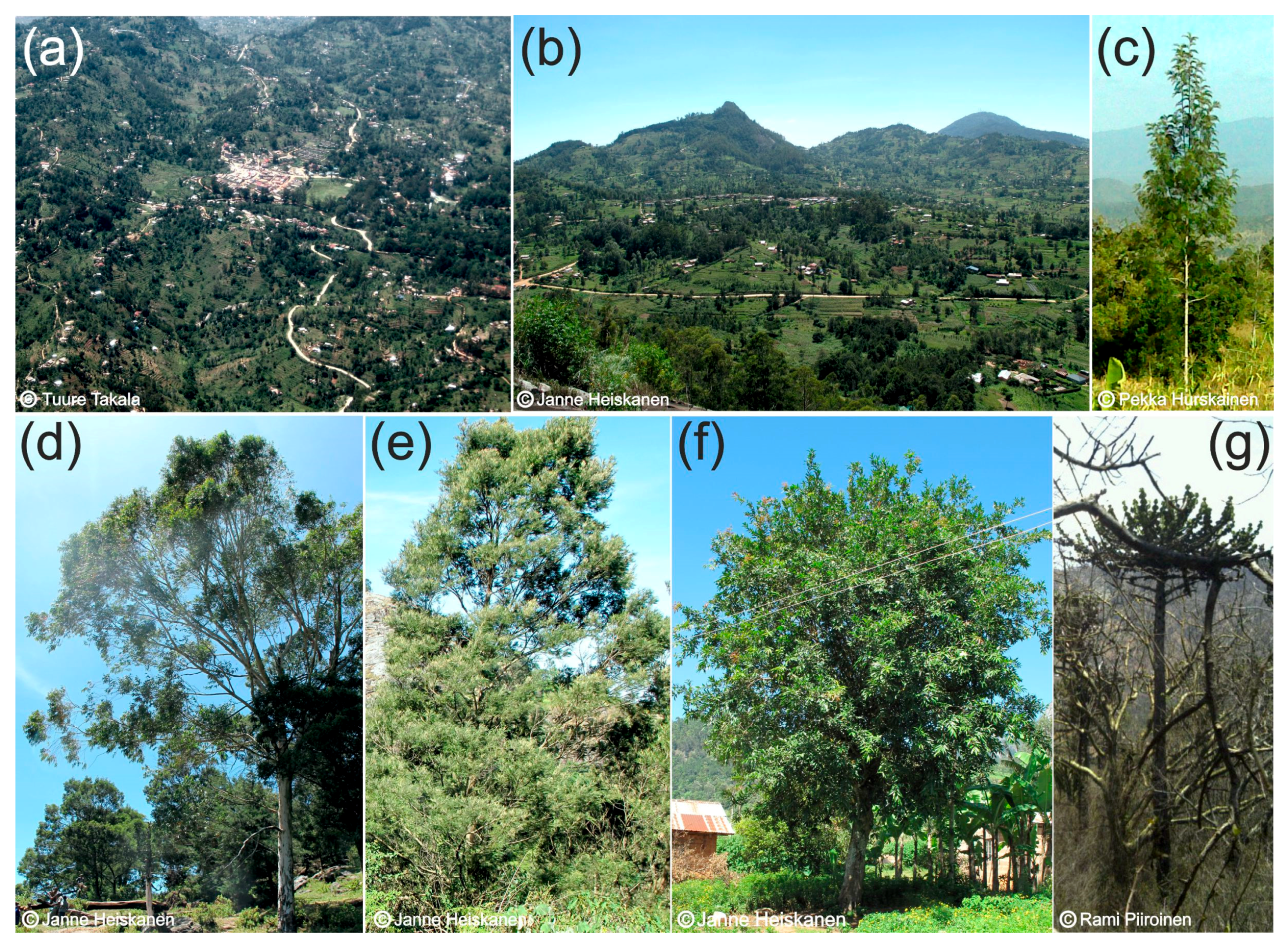 Remotesensing 09 00875 g002