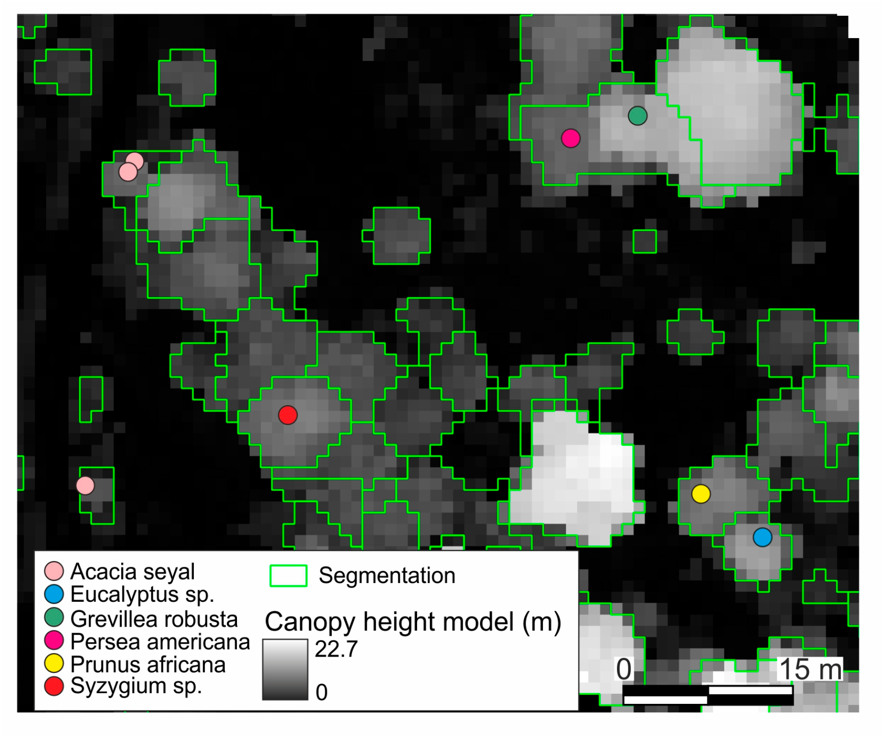 Remotesensing 09 00875 g004