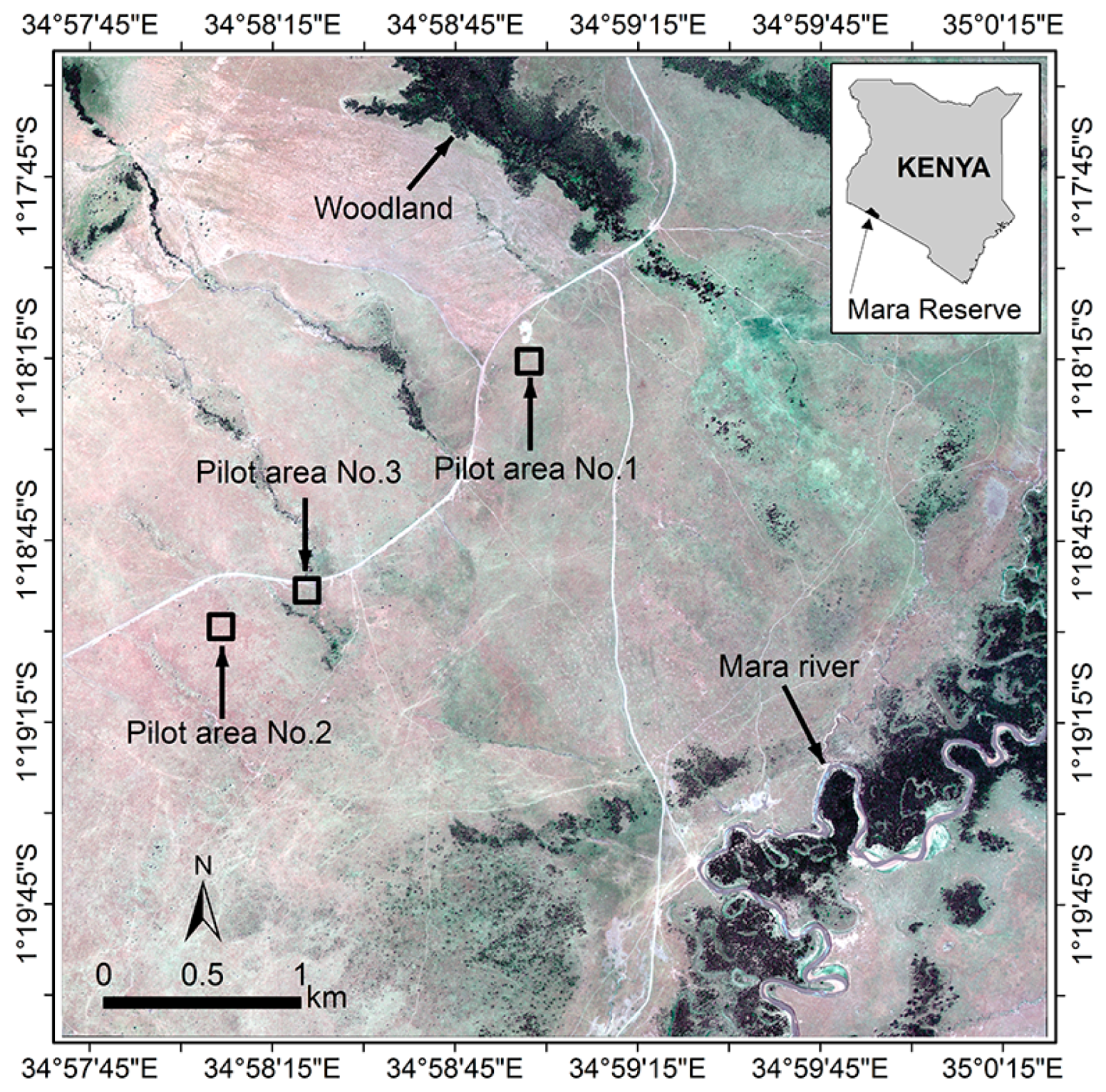 Remotesensing 09 00878 g001