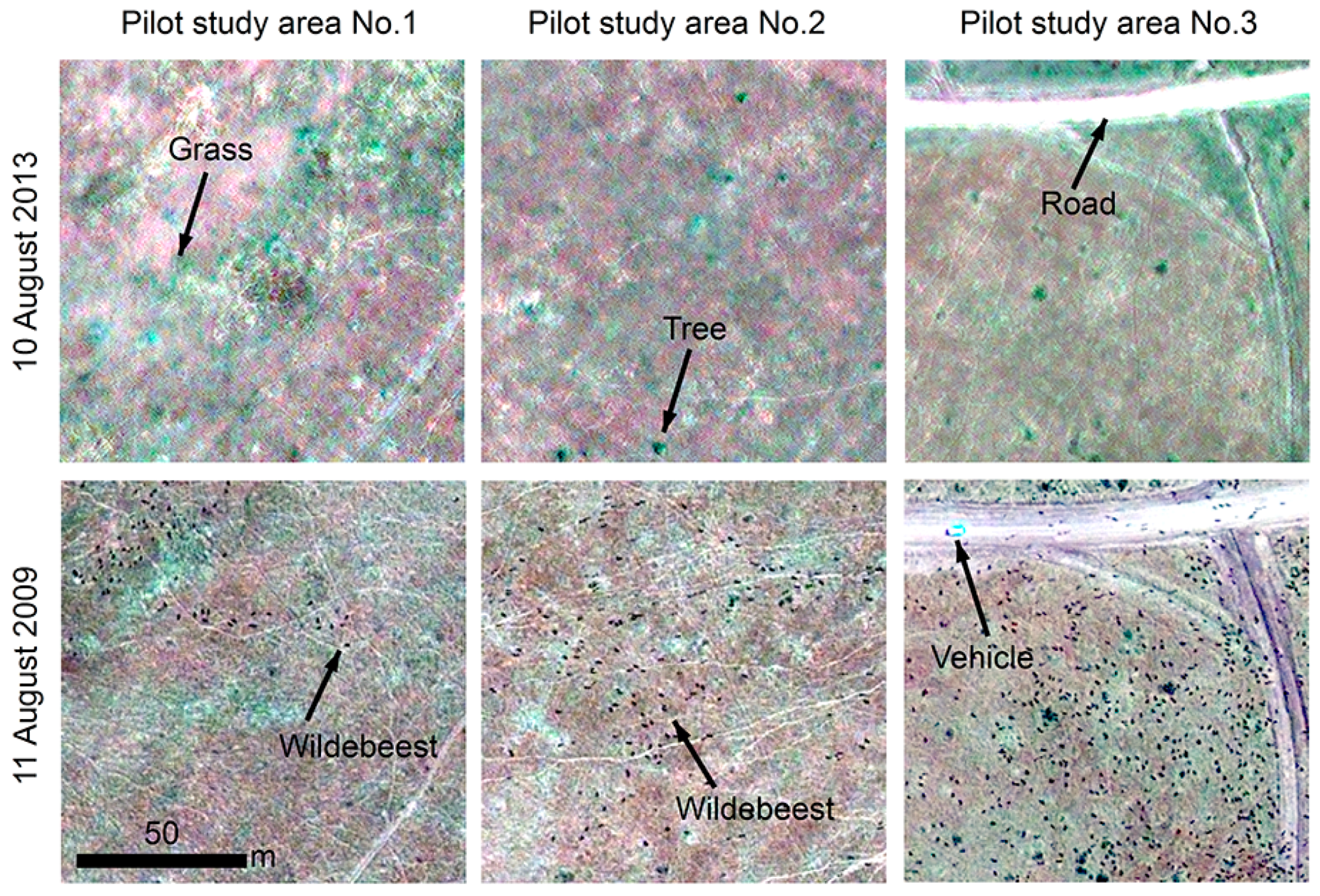 Remotesensing 09 00878 g003