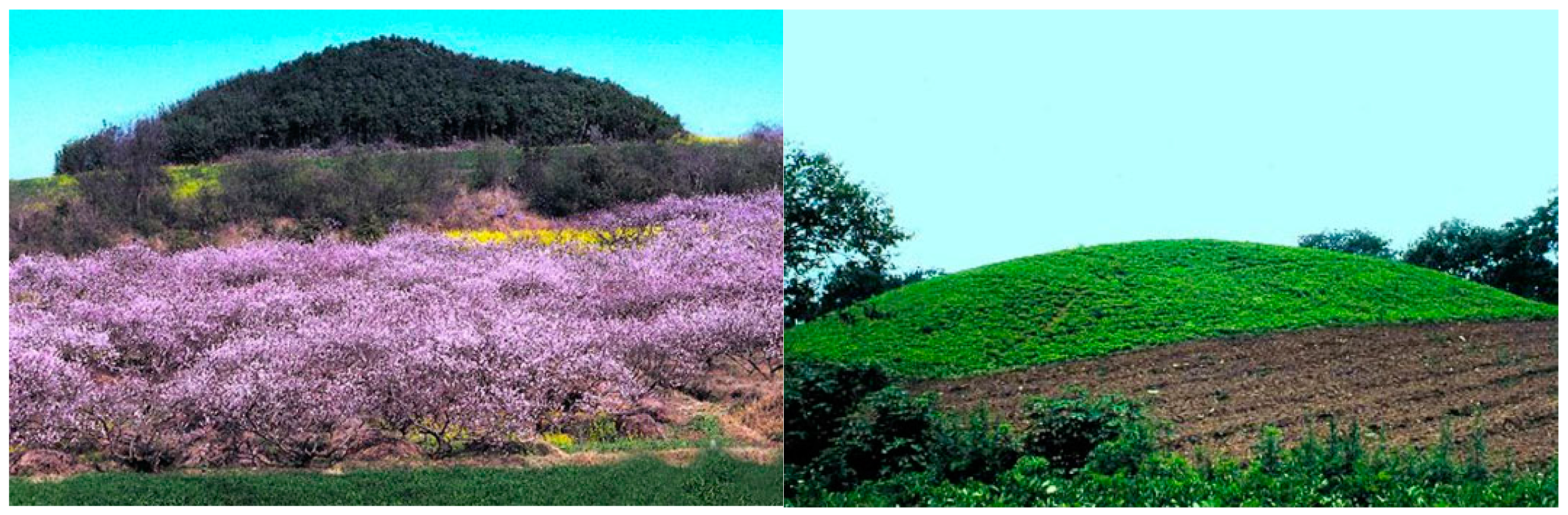 Remotesensing 09 00880 g002