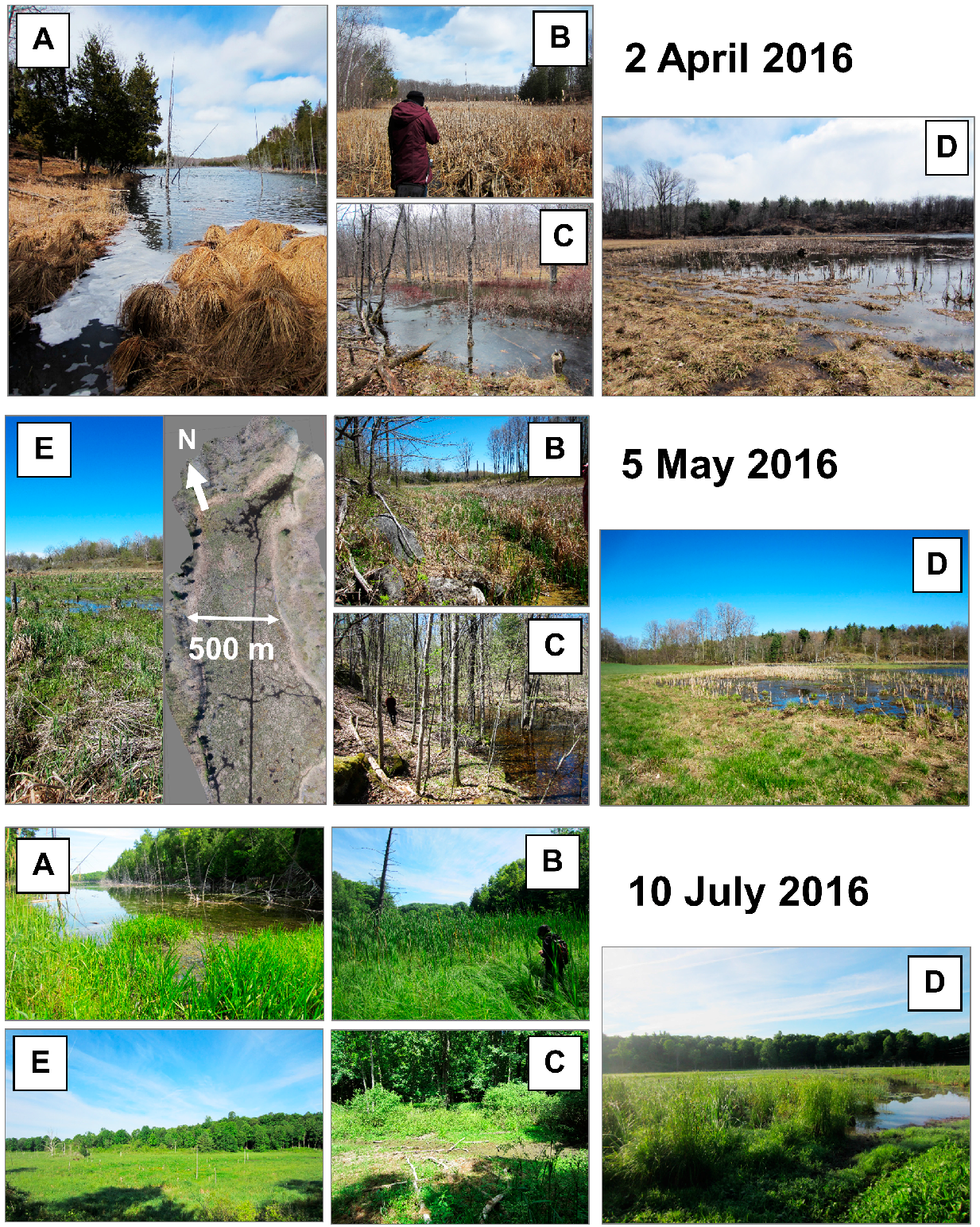 Remotesensing 09 00890 g011