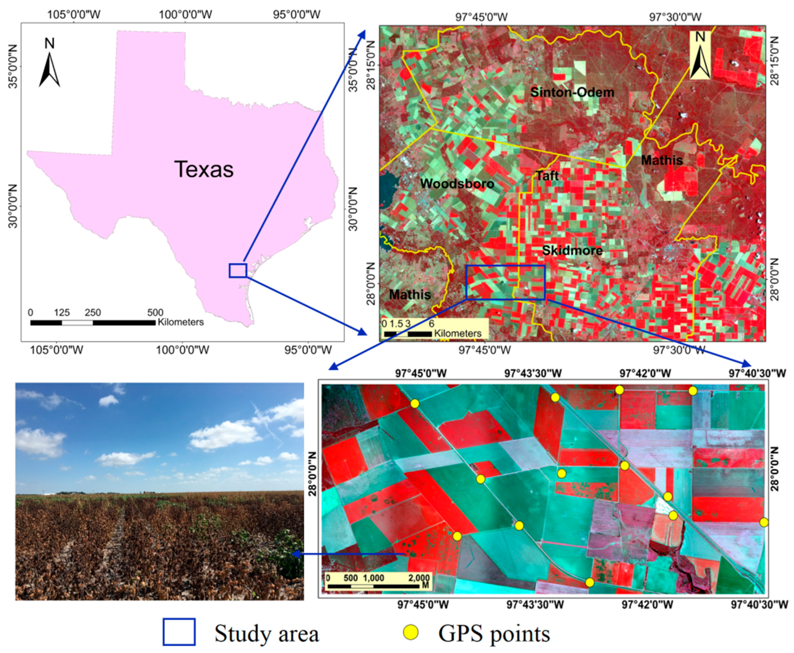 Remotesensing 09 00906 g001