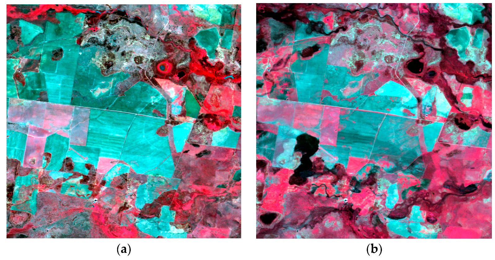 Remotesensing 09 00990 g003a