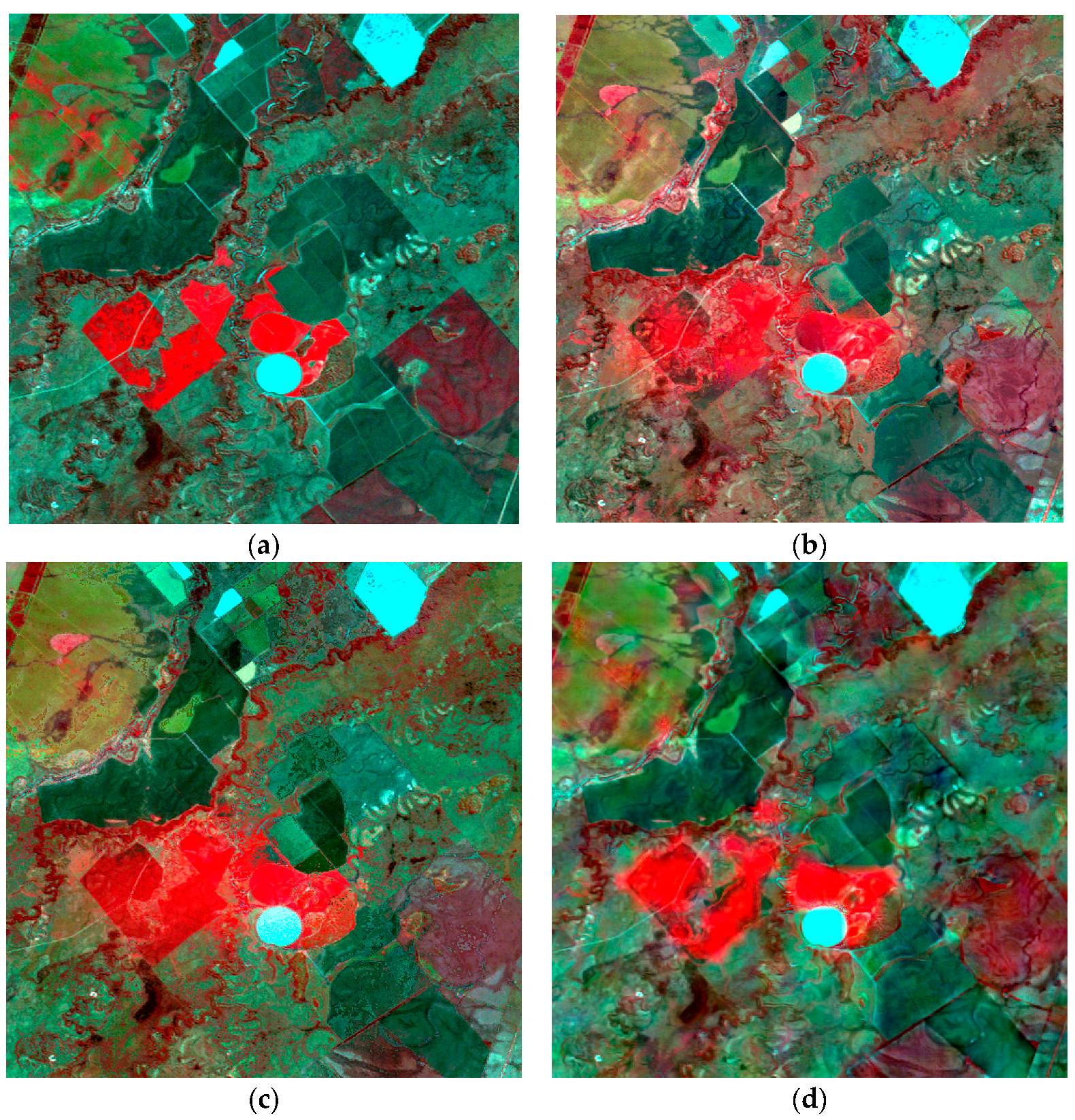 Remotesensing 09 00990 g005
