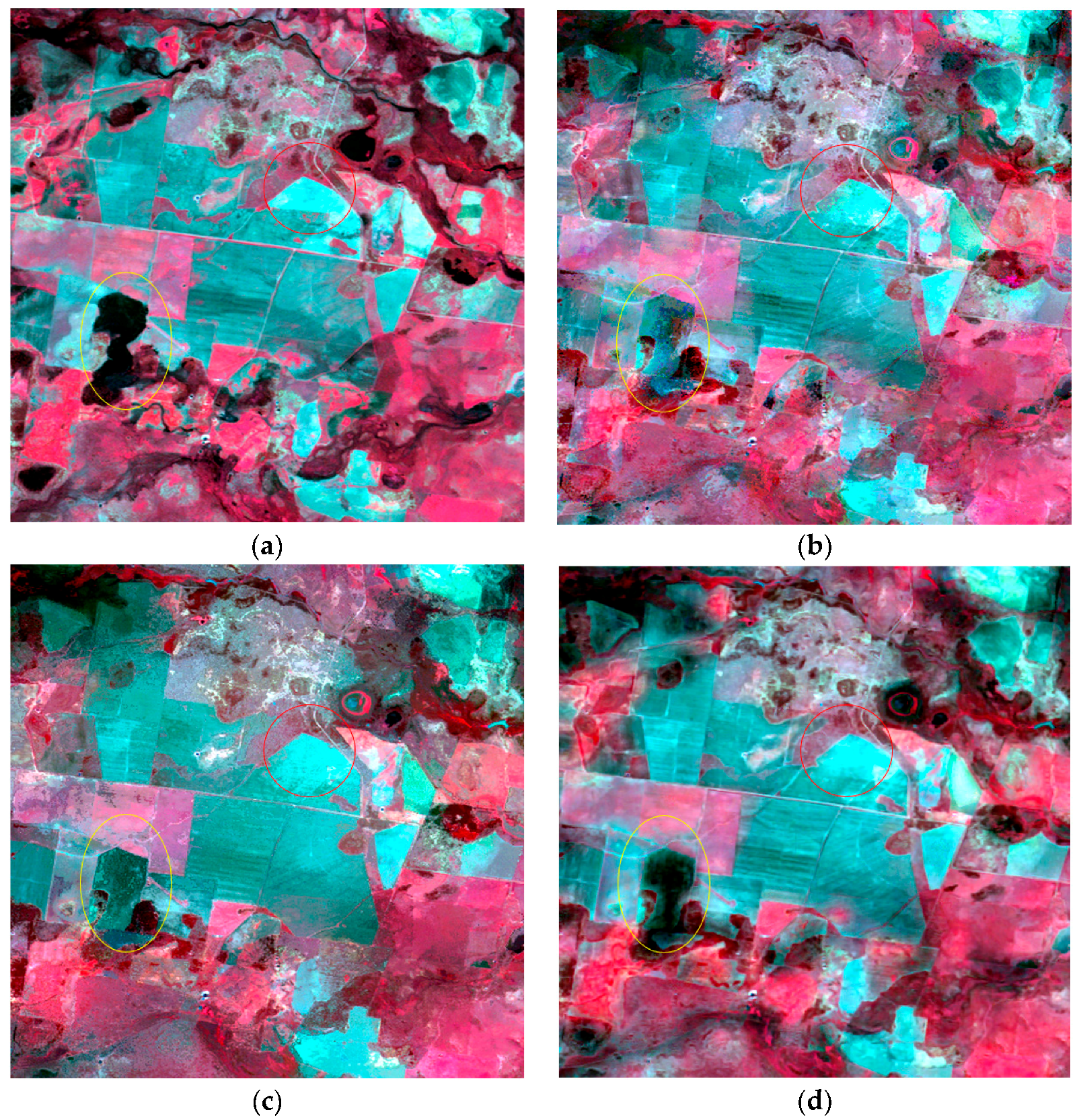 Remotesensing 09 00990 g007