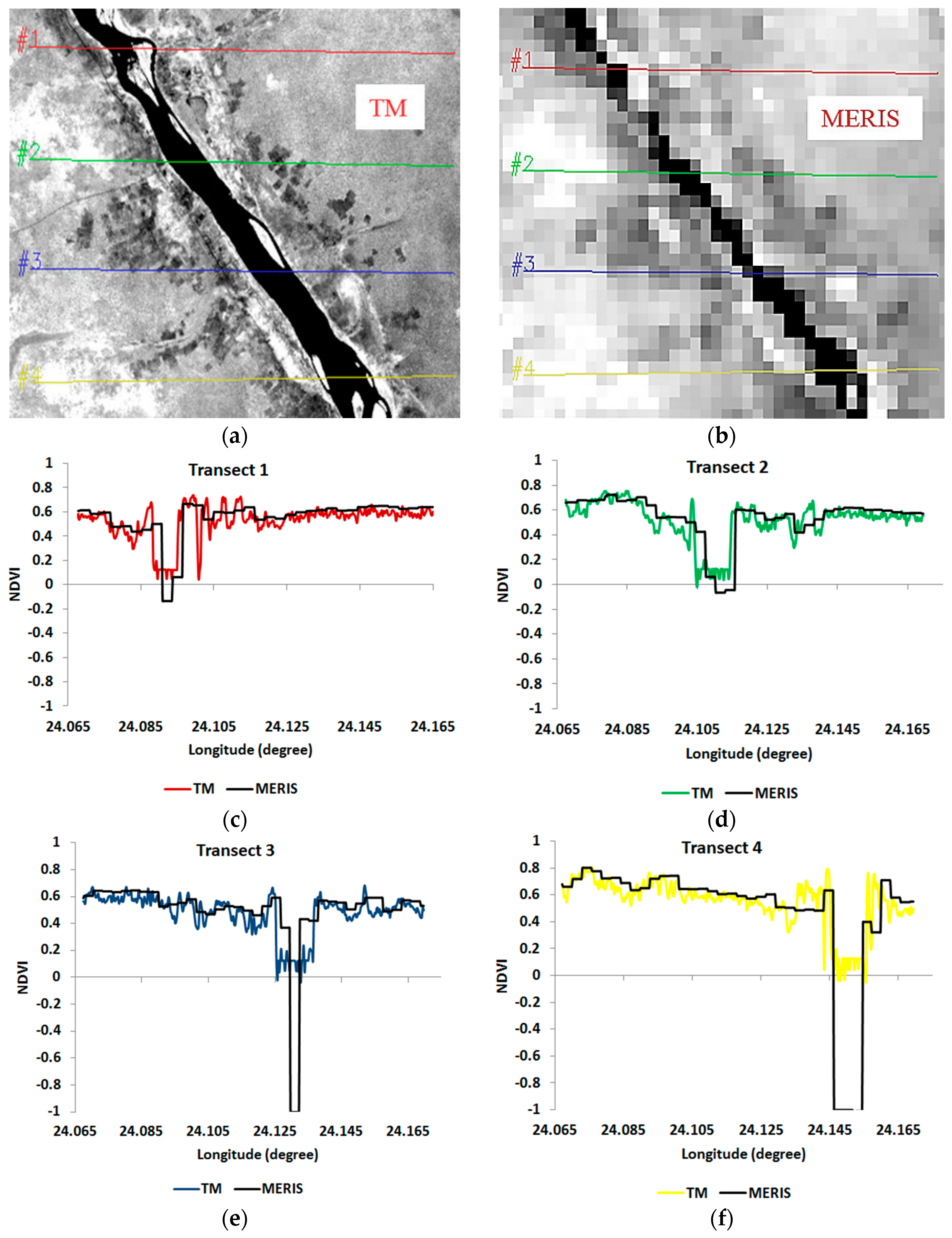 Remotesensing 09 01013 g004