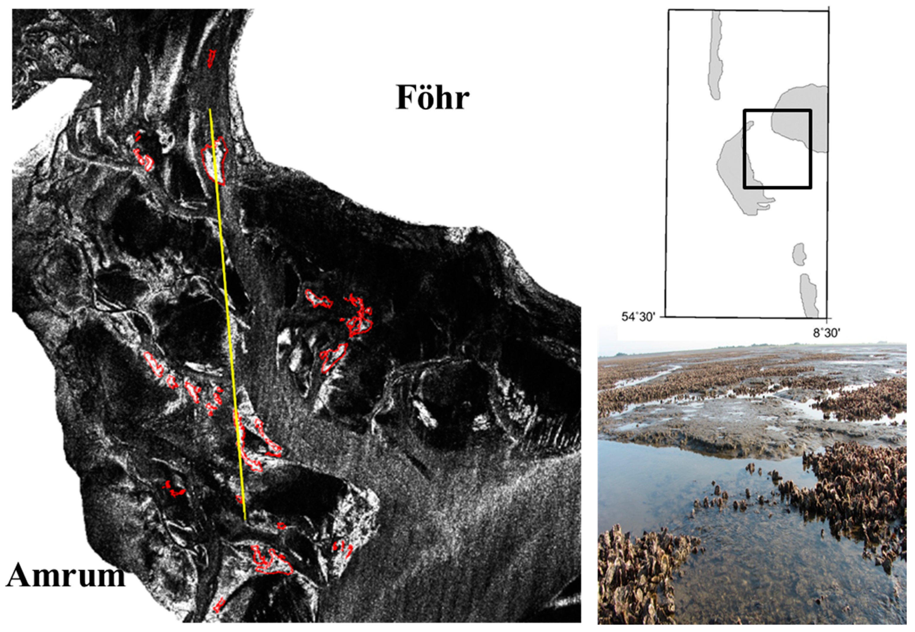 Remotesensing 09 01047 g003 550