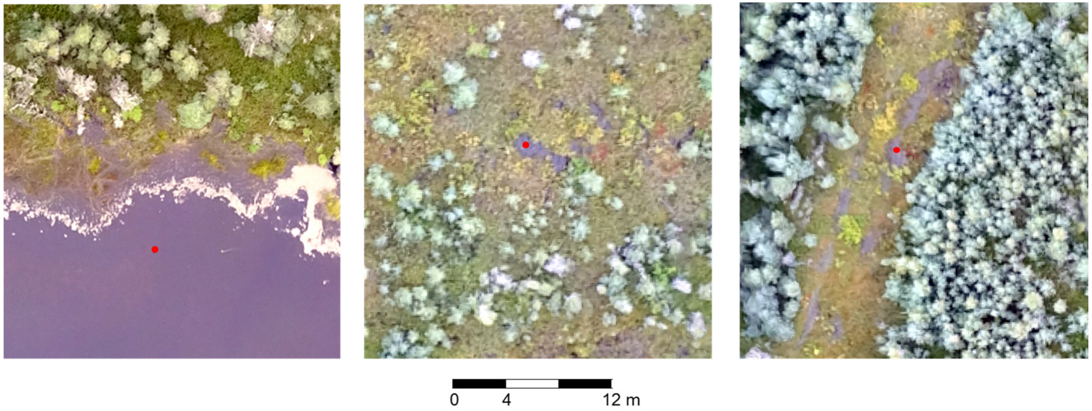 Remotesensing 09 01057 g004