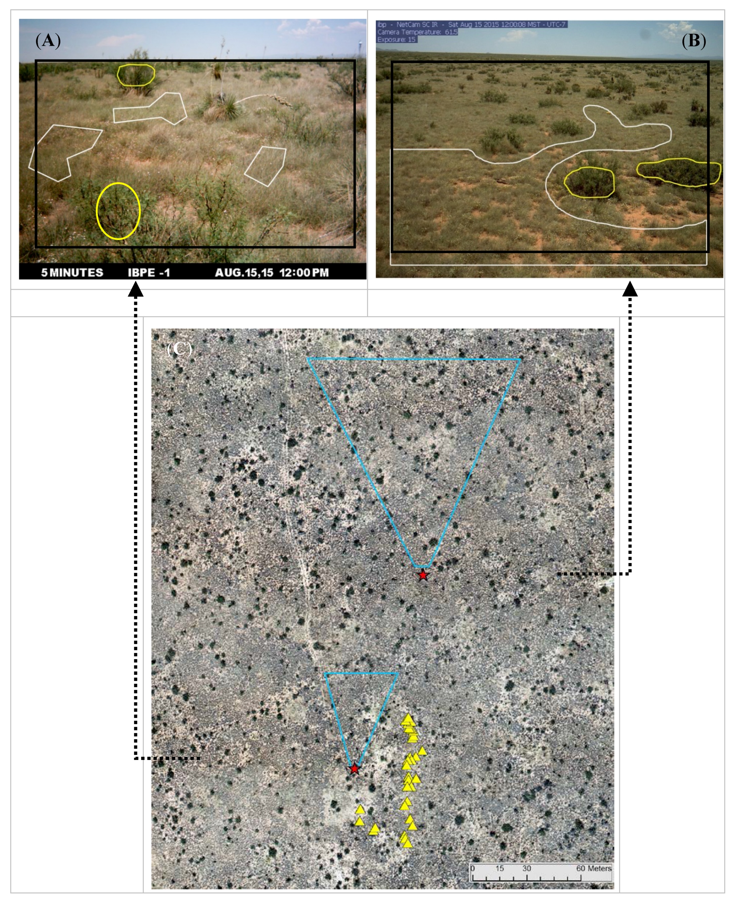 Remotesensing 09 01071 g002