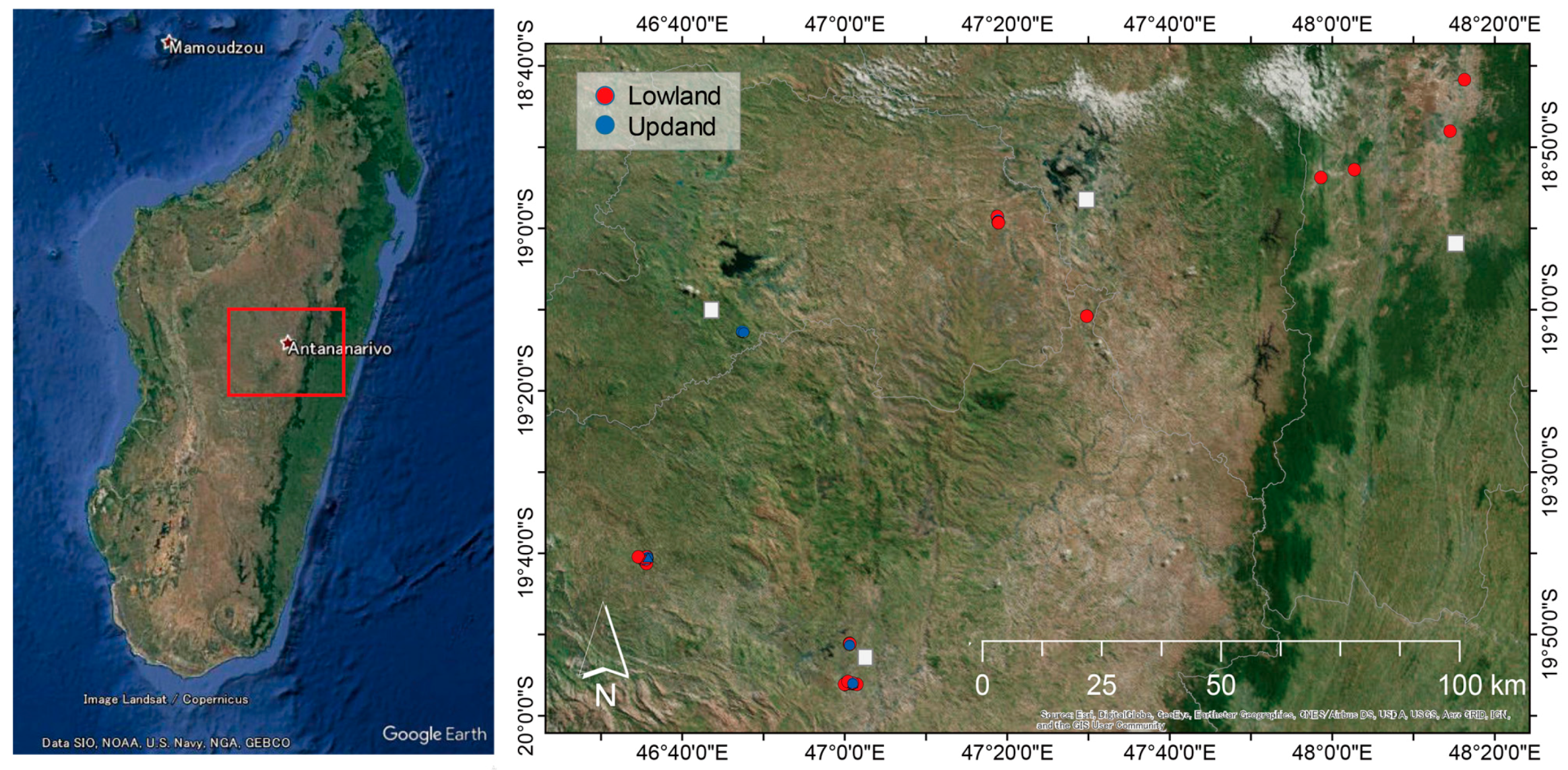 Remotesensing 09 01081 g001