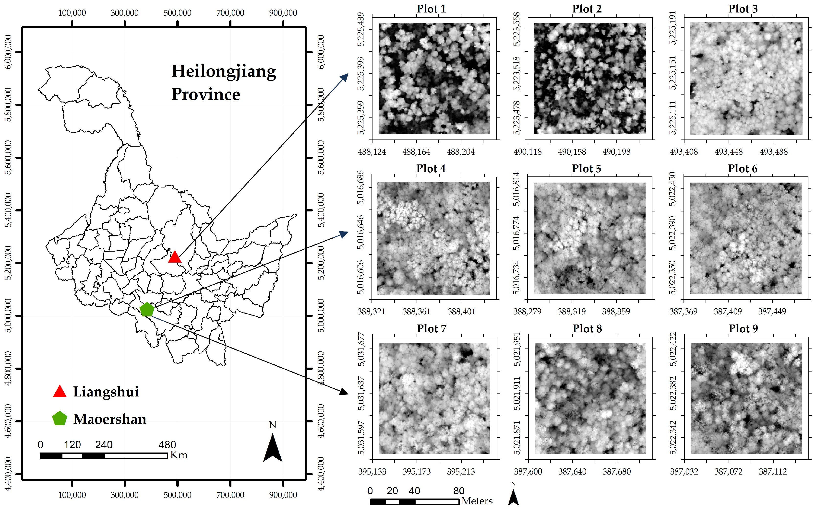 Remotesensing 09 01084 g001 550