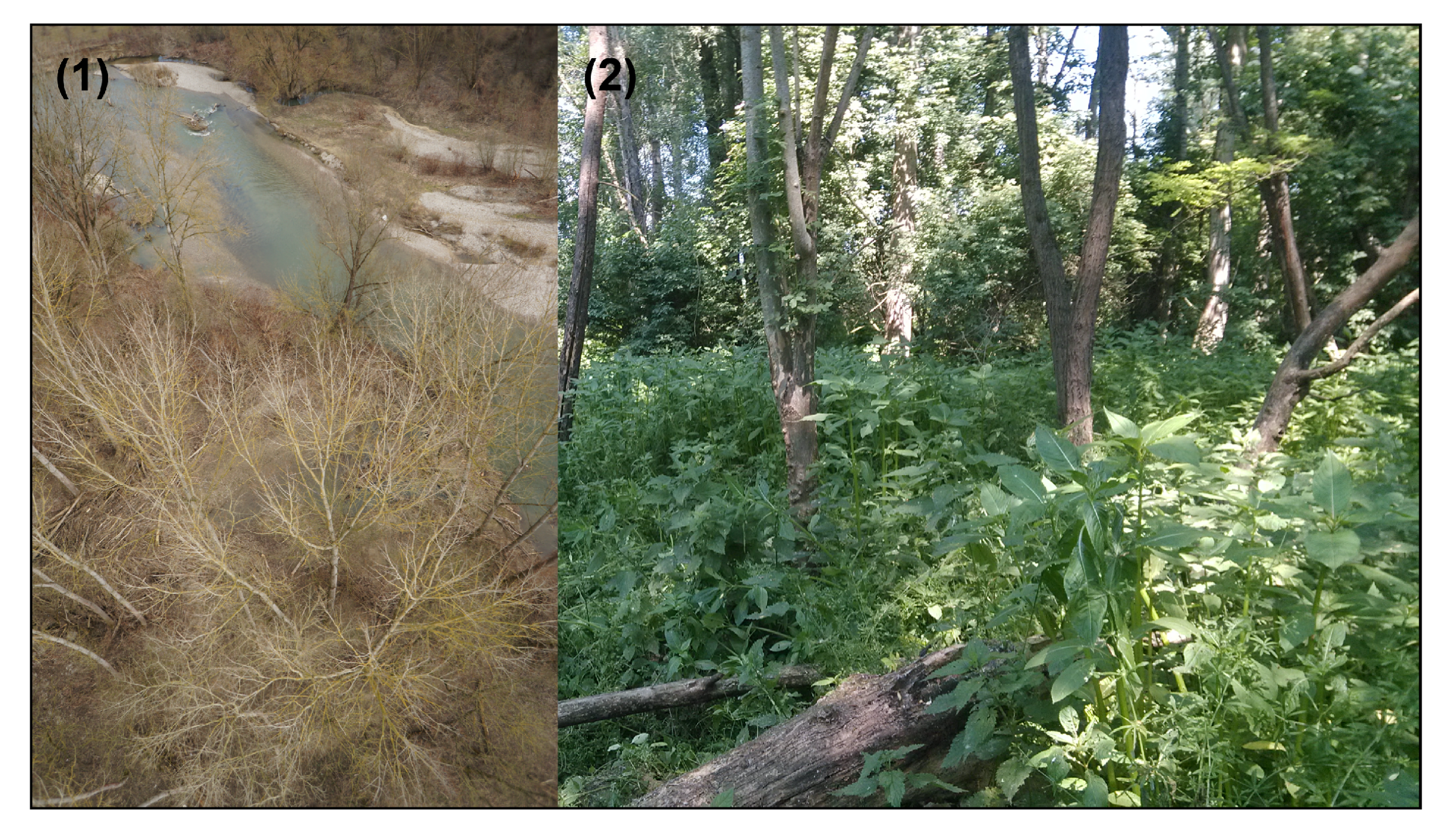 Remotesensing 09 01154 g002 550