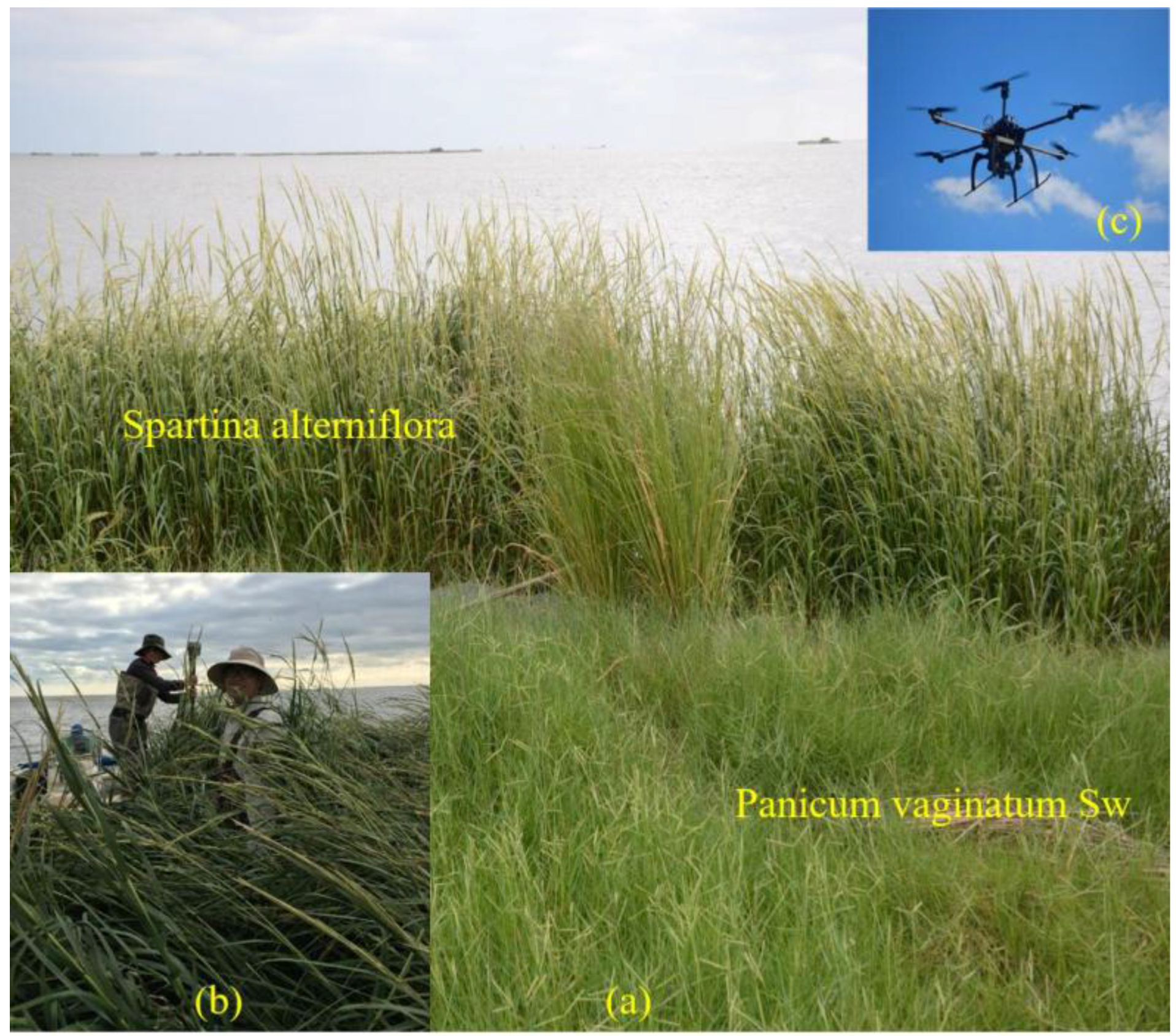 Remotesensing 09 01187 g002