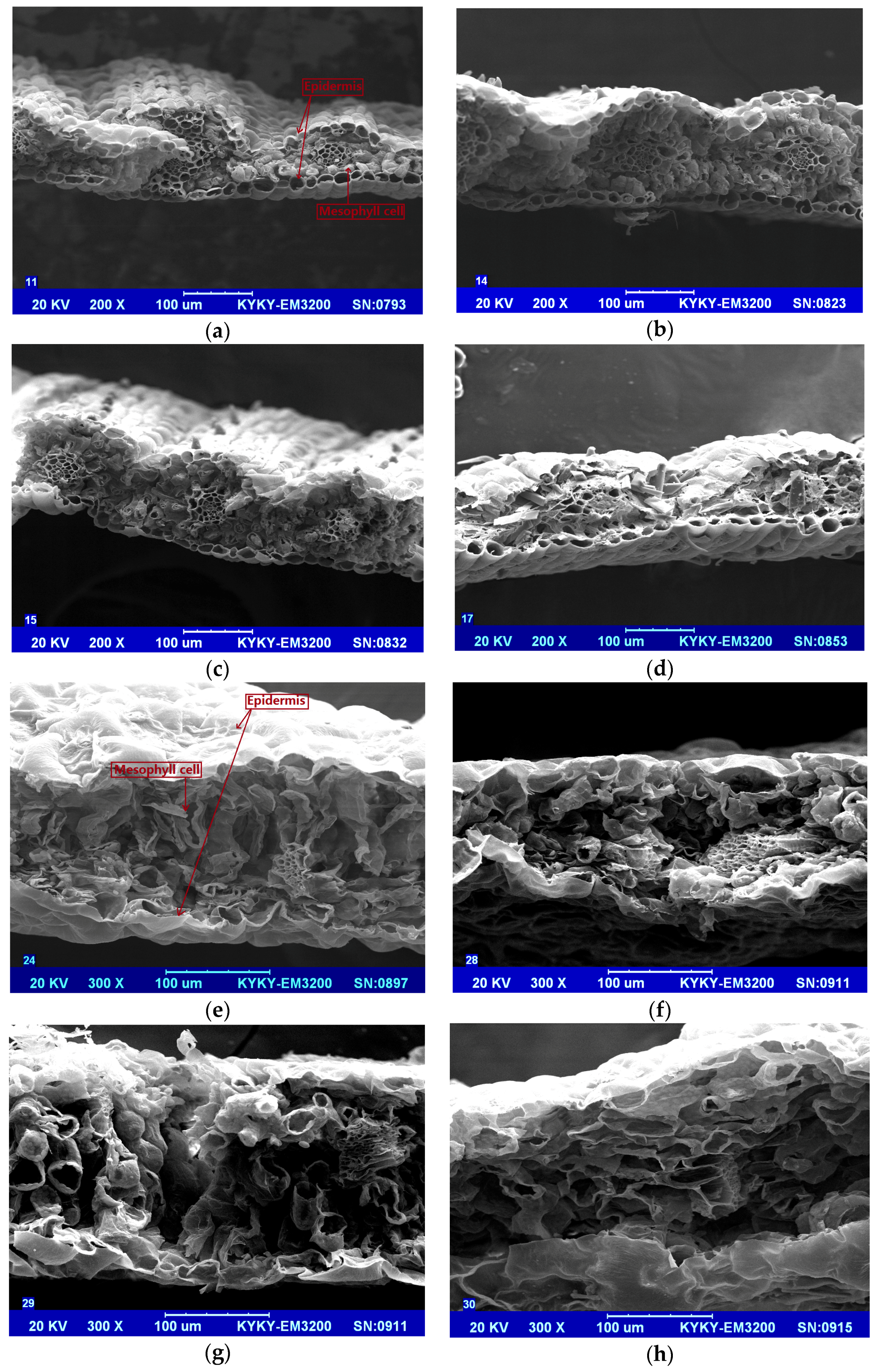 Remotesensing 09 01191 g003