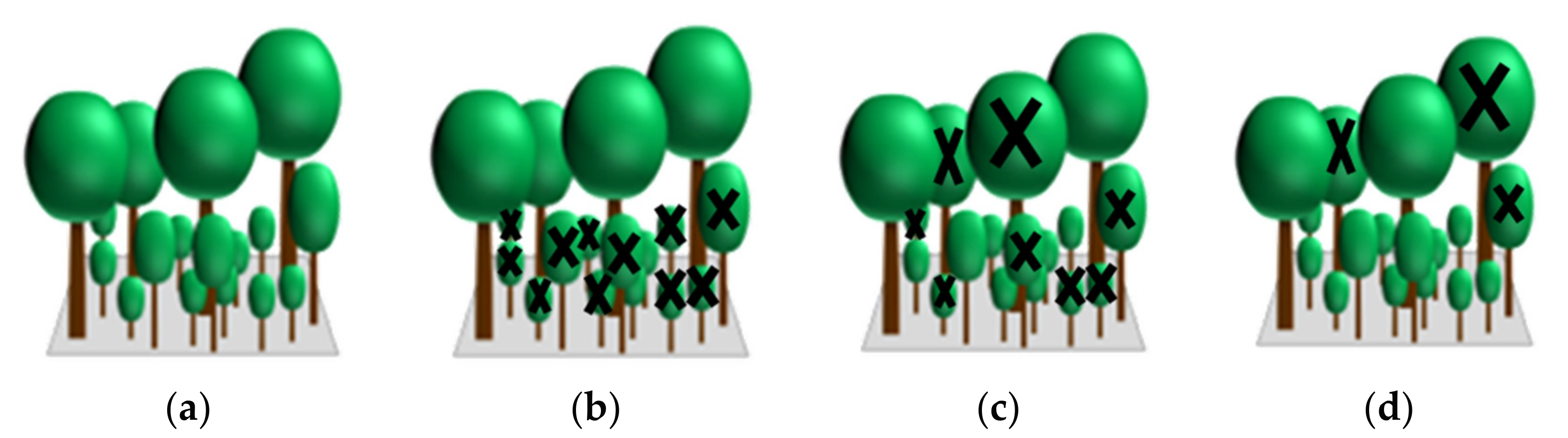 Remotesensing 09 01229 g005