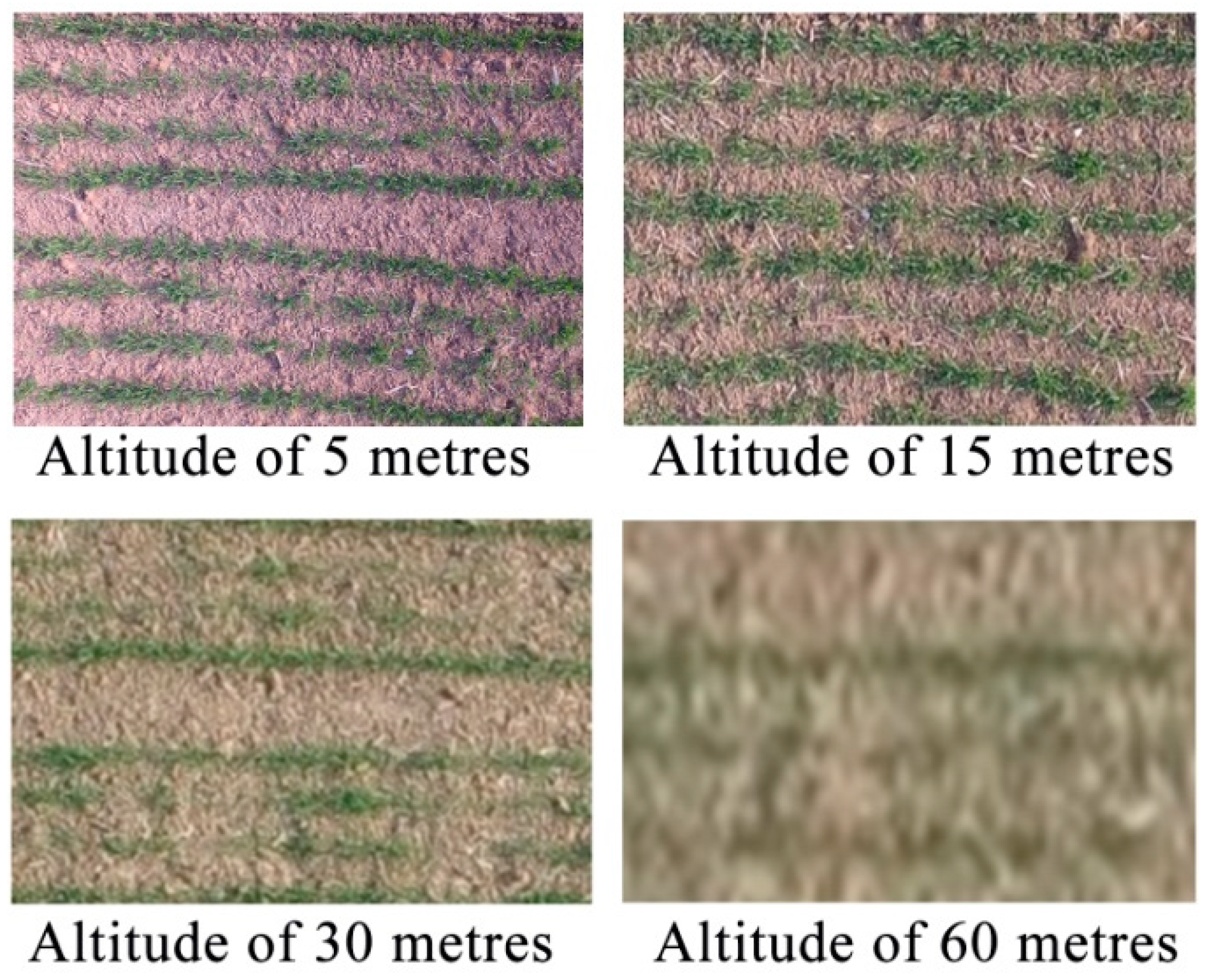 Remotesensing 09 01241 g012