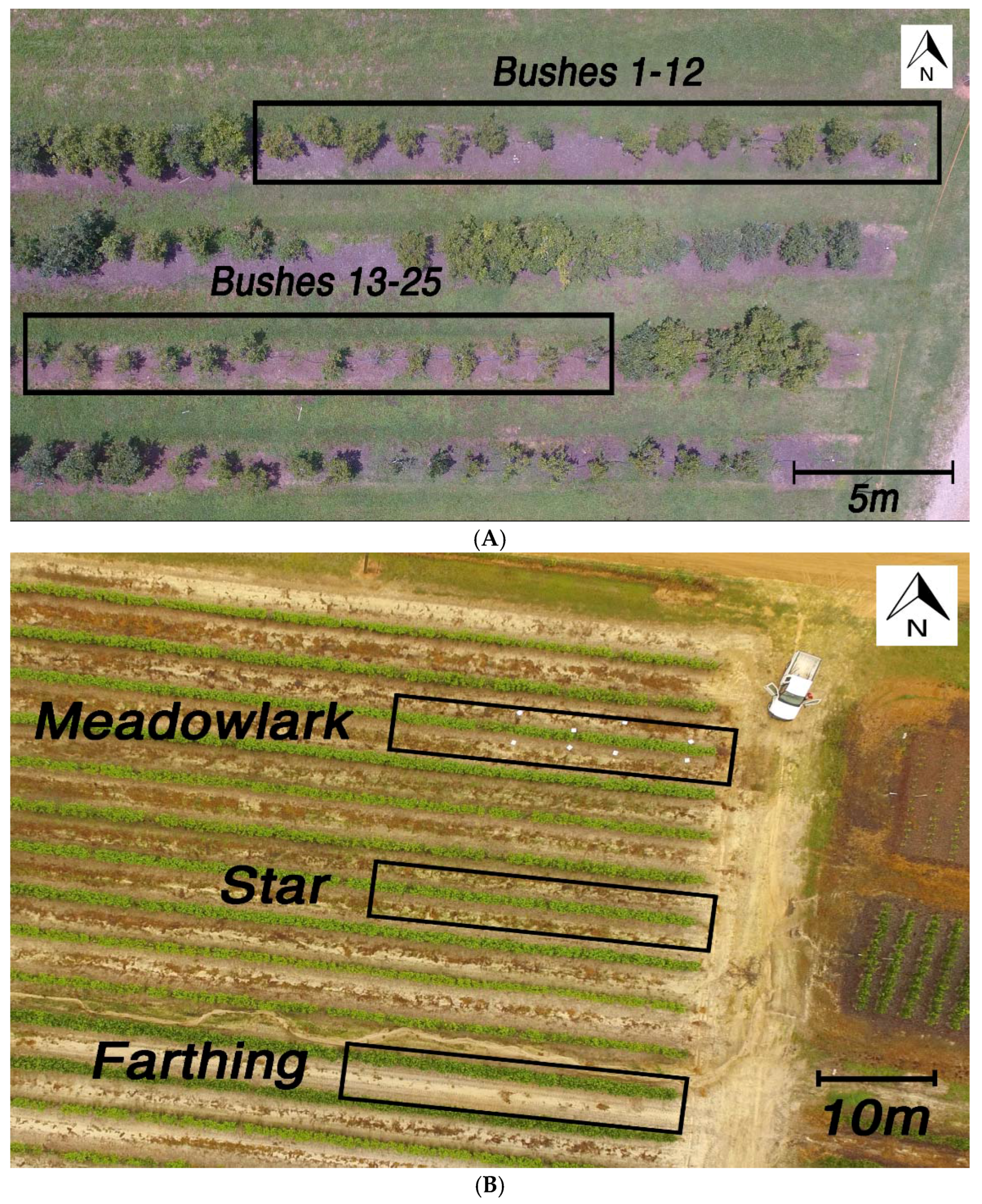 Remotesensing 09 01250 g001