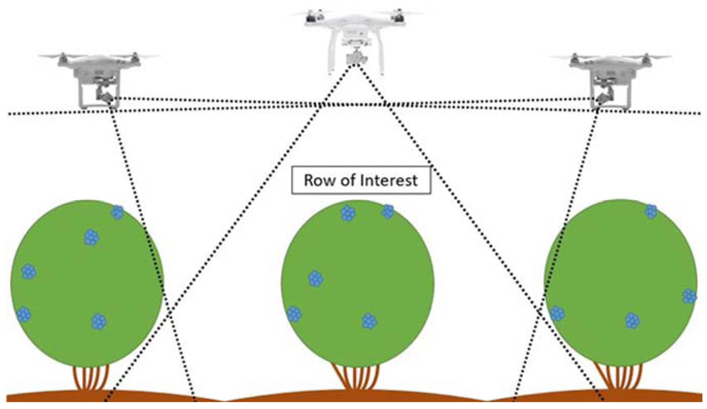 Remotesensing 09 01250 g002