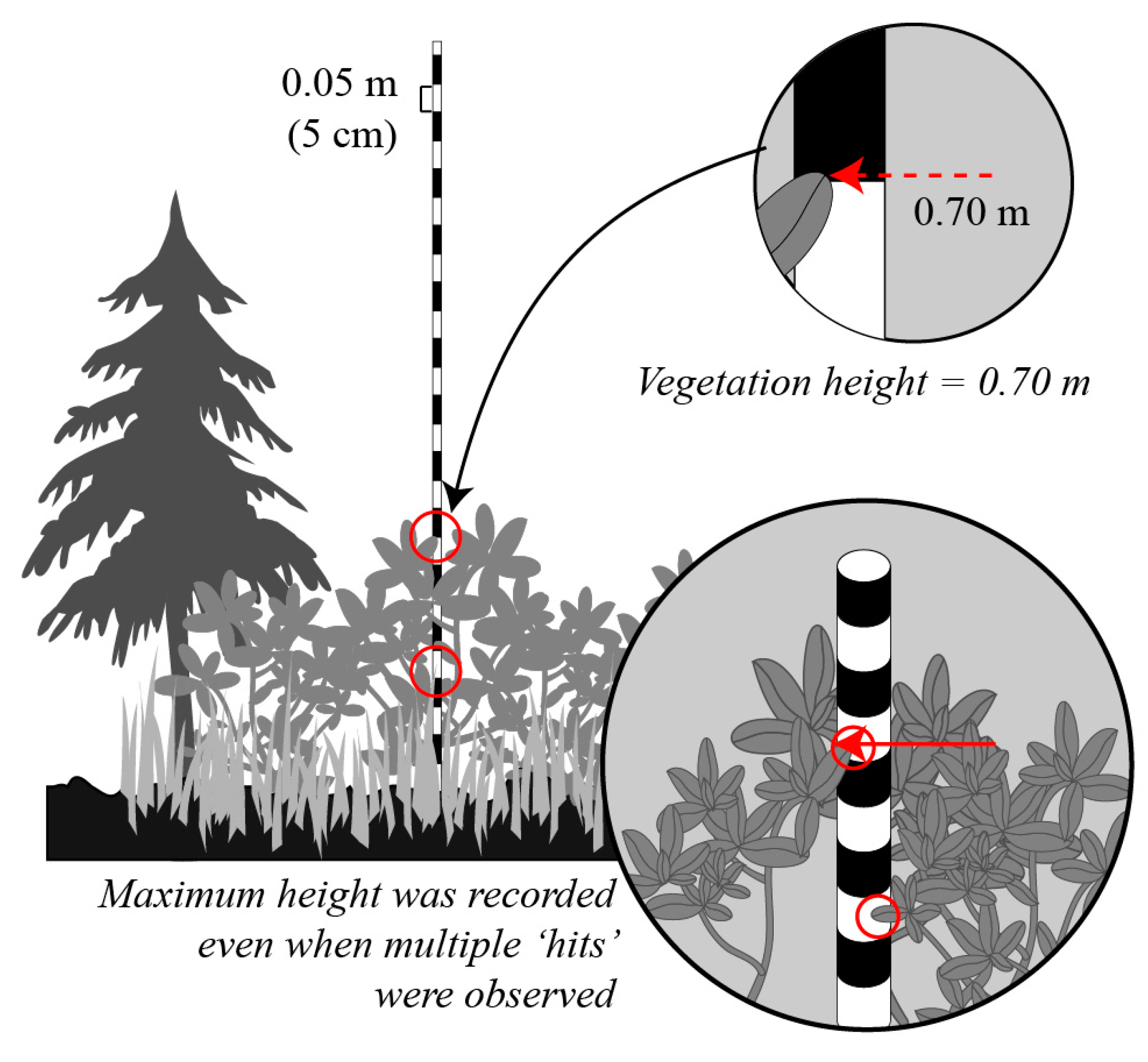 Remotesensing 09 01257 g004