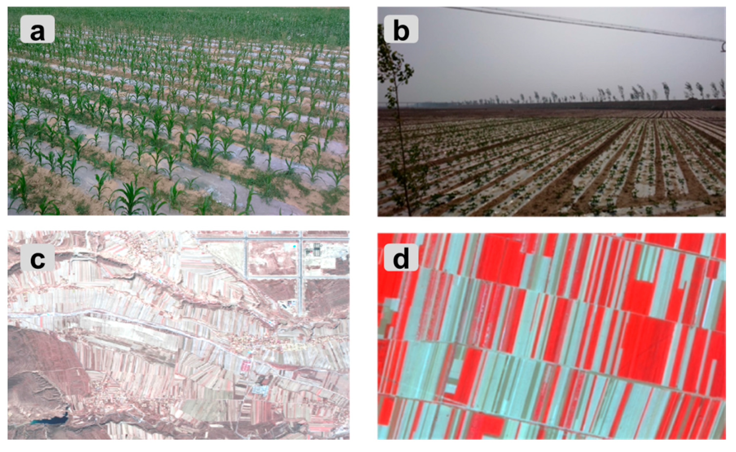 Remotesensing 09 01264 g010