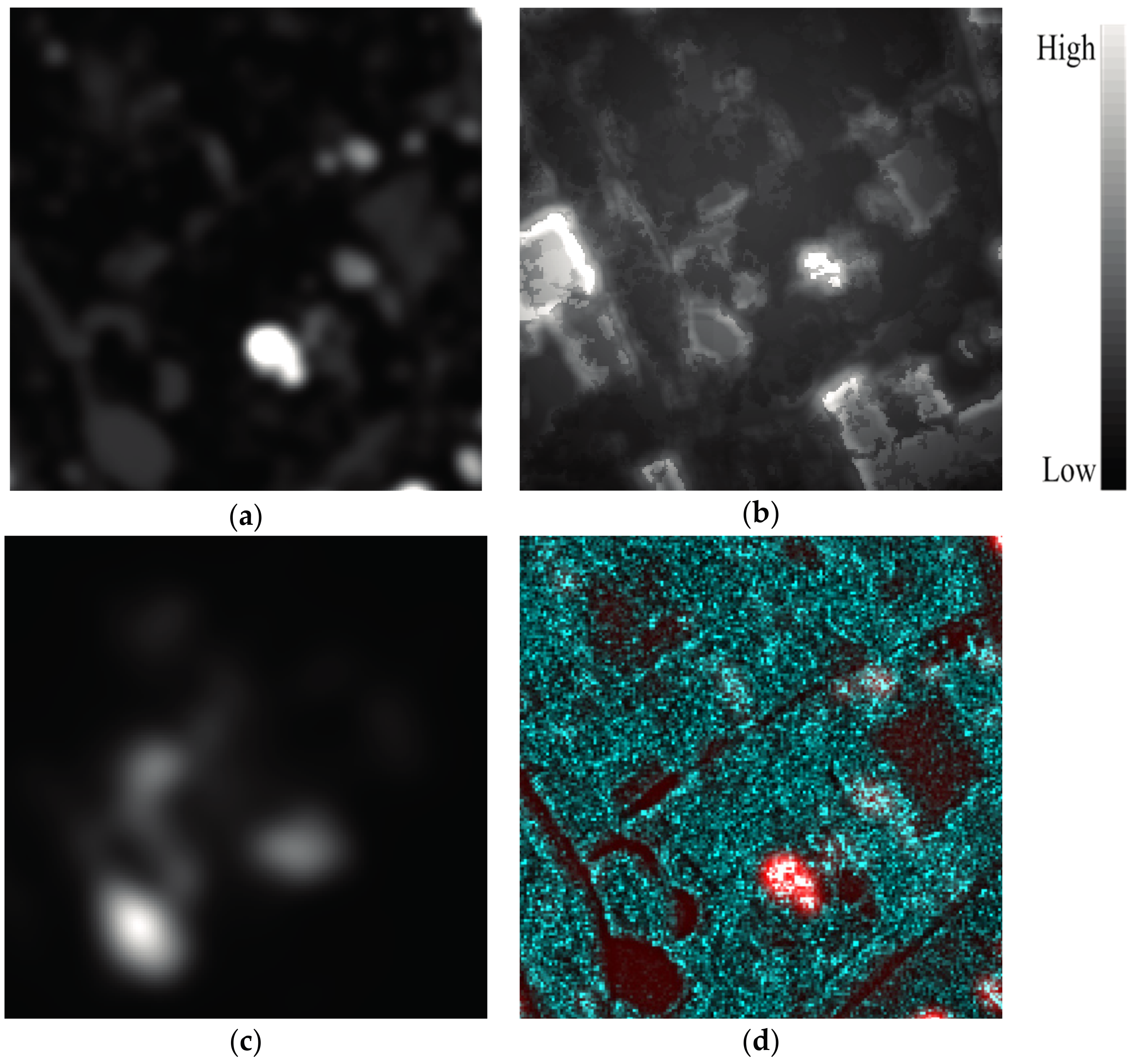 Remotesensing 09 01290 g009 550