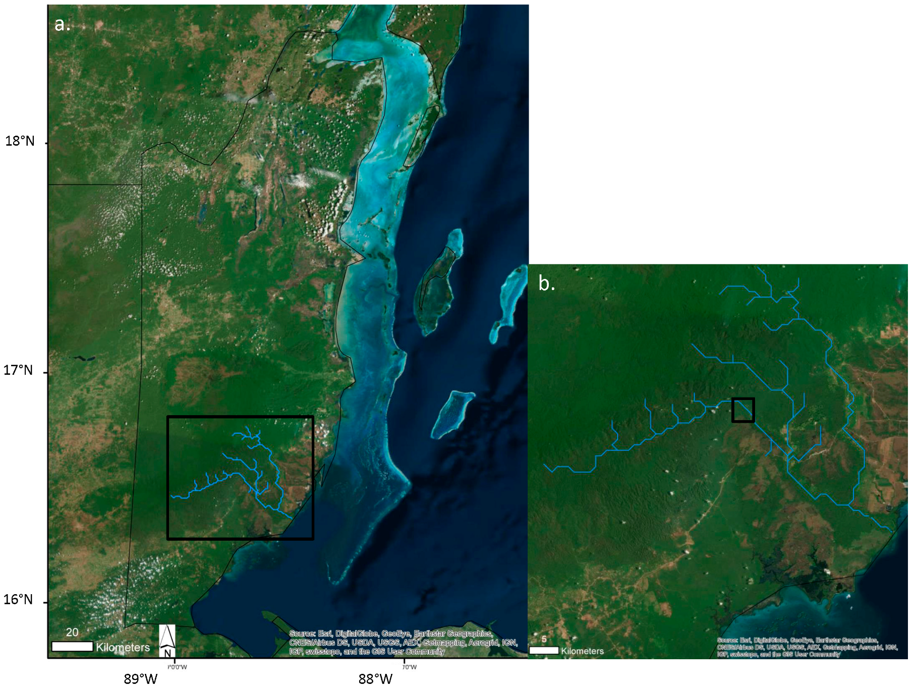 Remotesensing 09 01295 g001 550