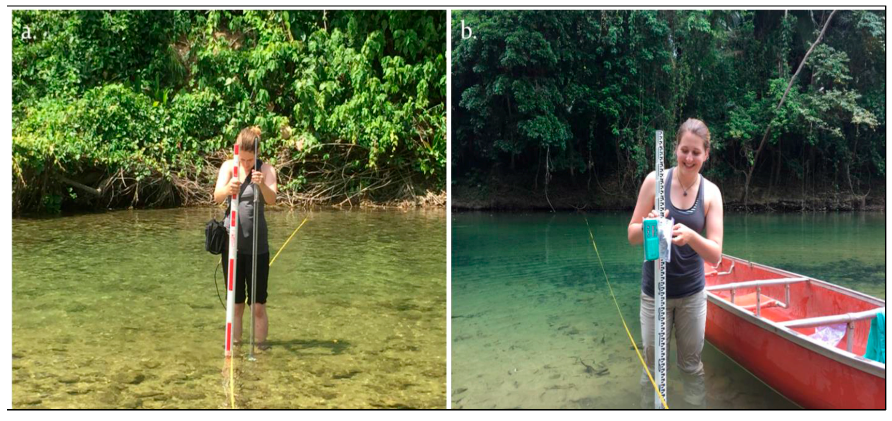 Remotesensing 09 01295 g004 550