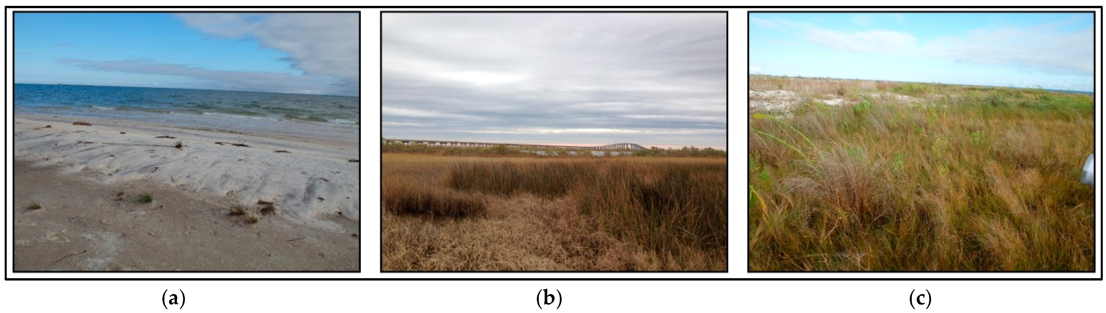 Remotesensing 10 00005 g003 550