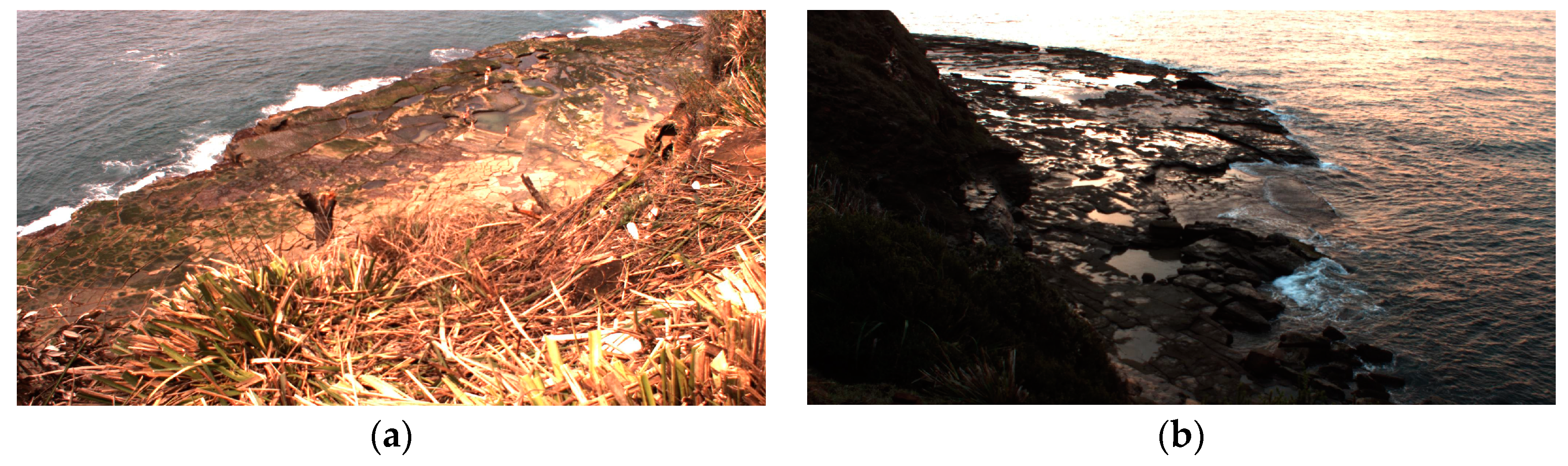 Remotesensing 10 00011 g012