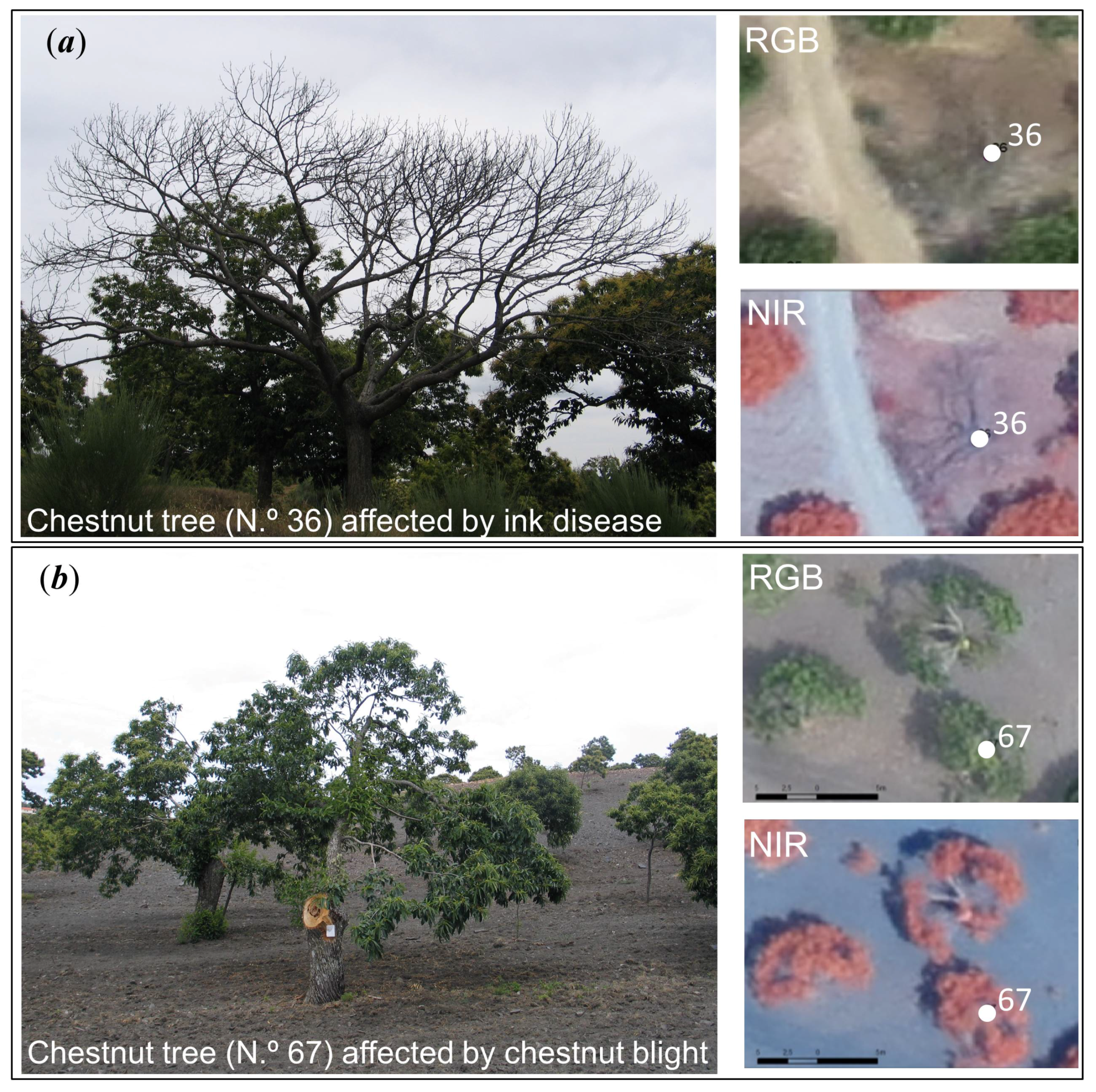 Remotesensing 10 00024 g004 Remotesensing 10 00024 g004