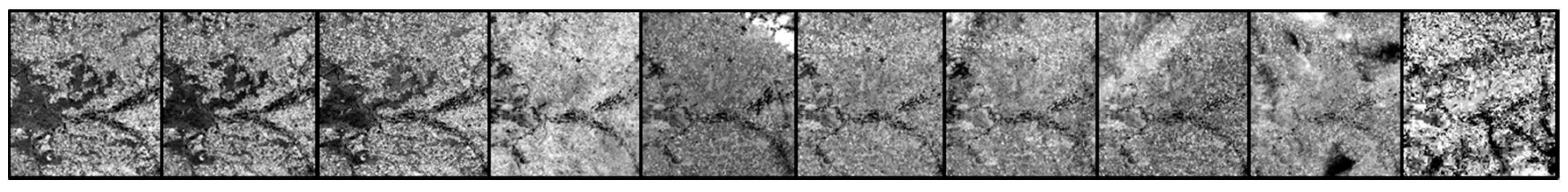 Remotesensing 10 00048 g007