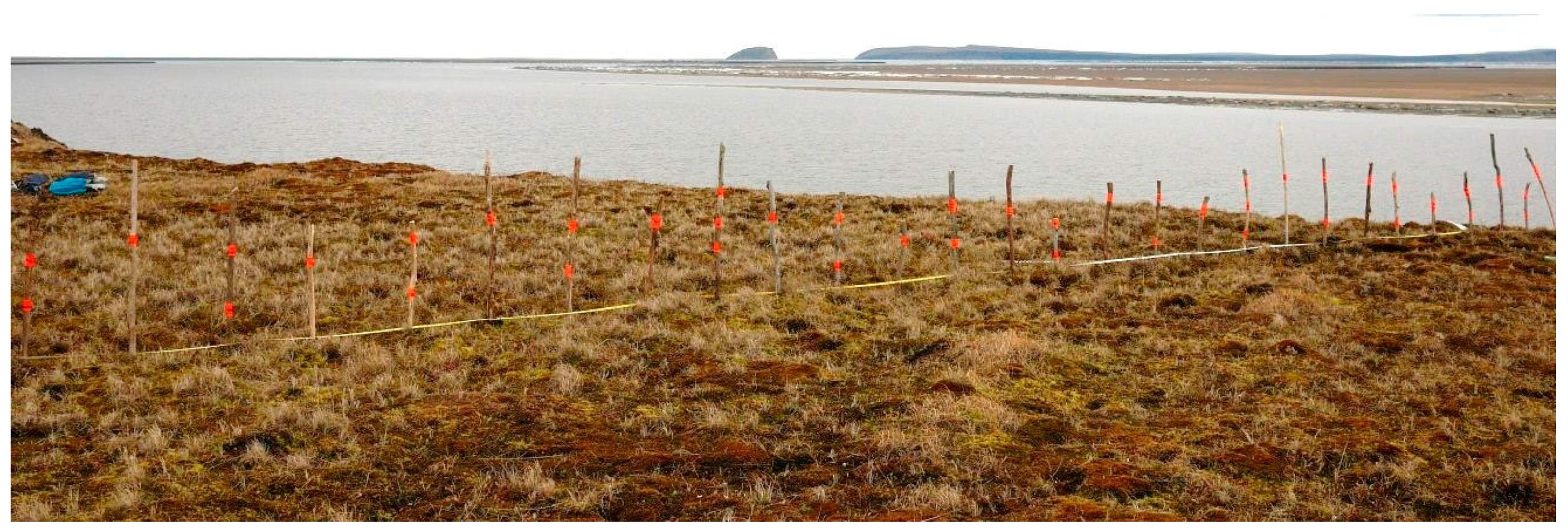 Remotesensing 10 00051 g005