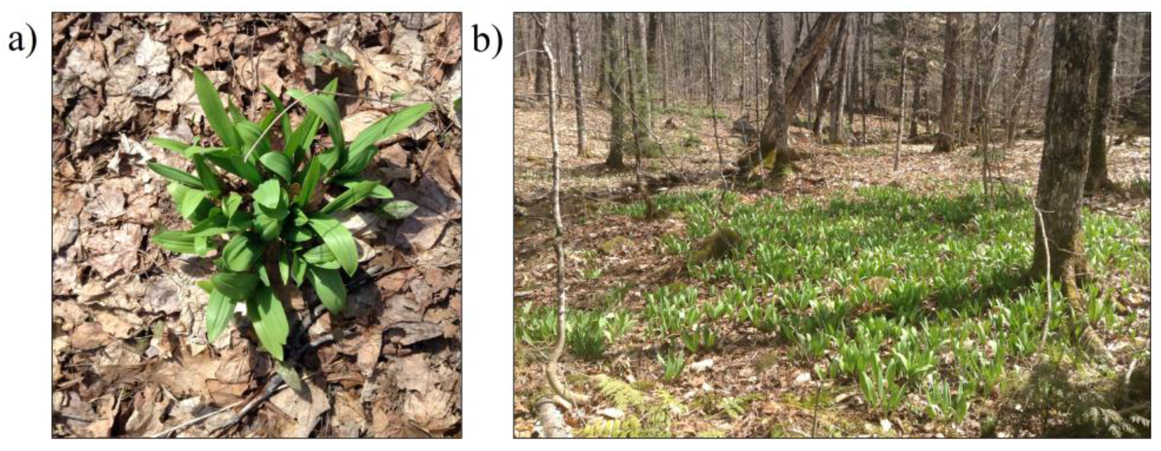 Remotesensing 10 00070 g001 Remotesensing 10 00070 g001