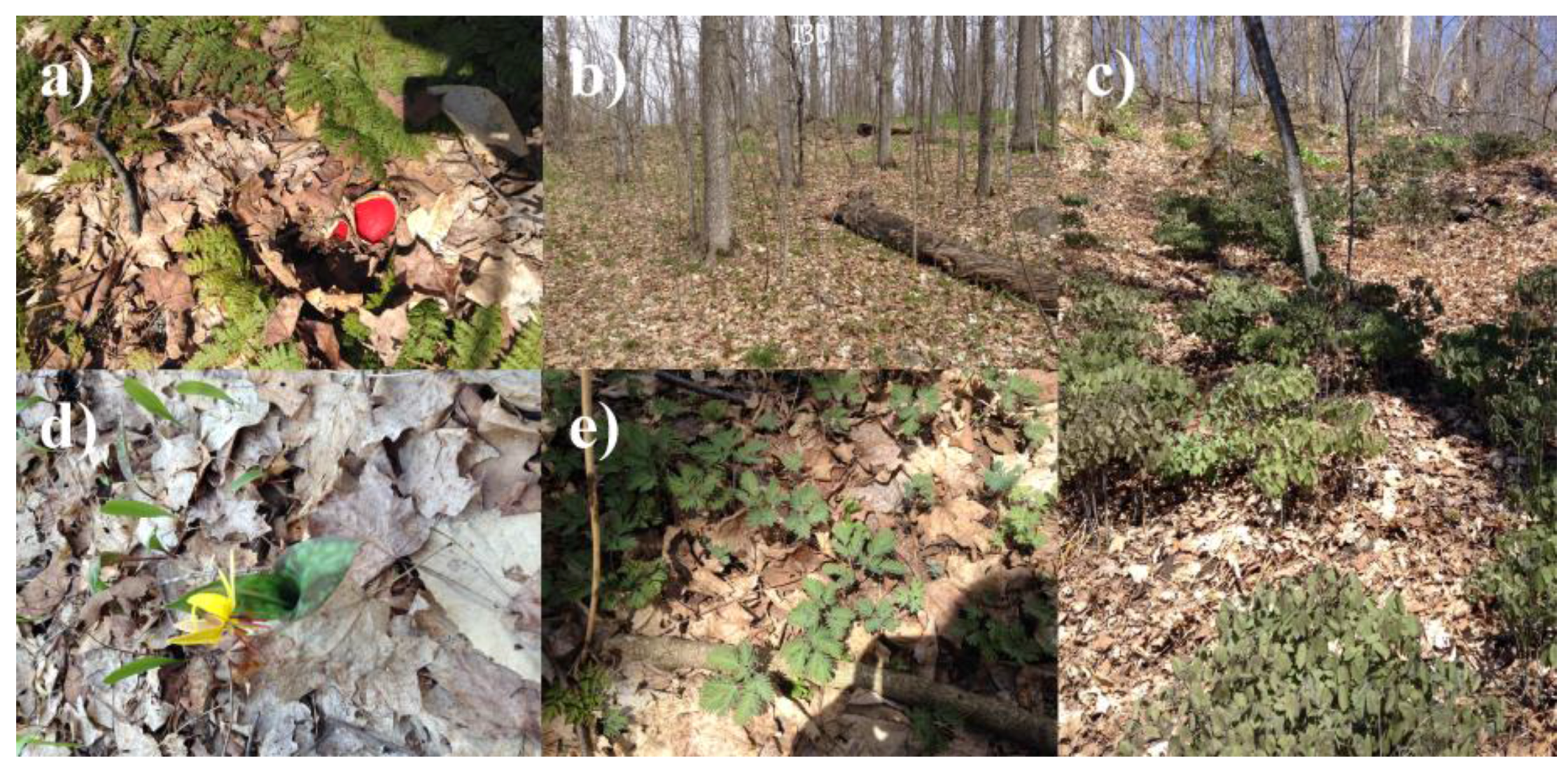 Remotesensing 10 00070 g003 Remotesensing 10 00070 g003