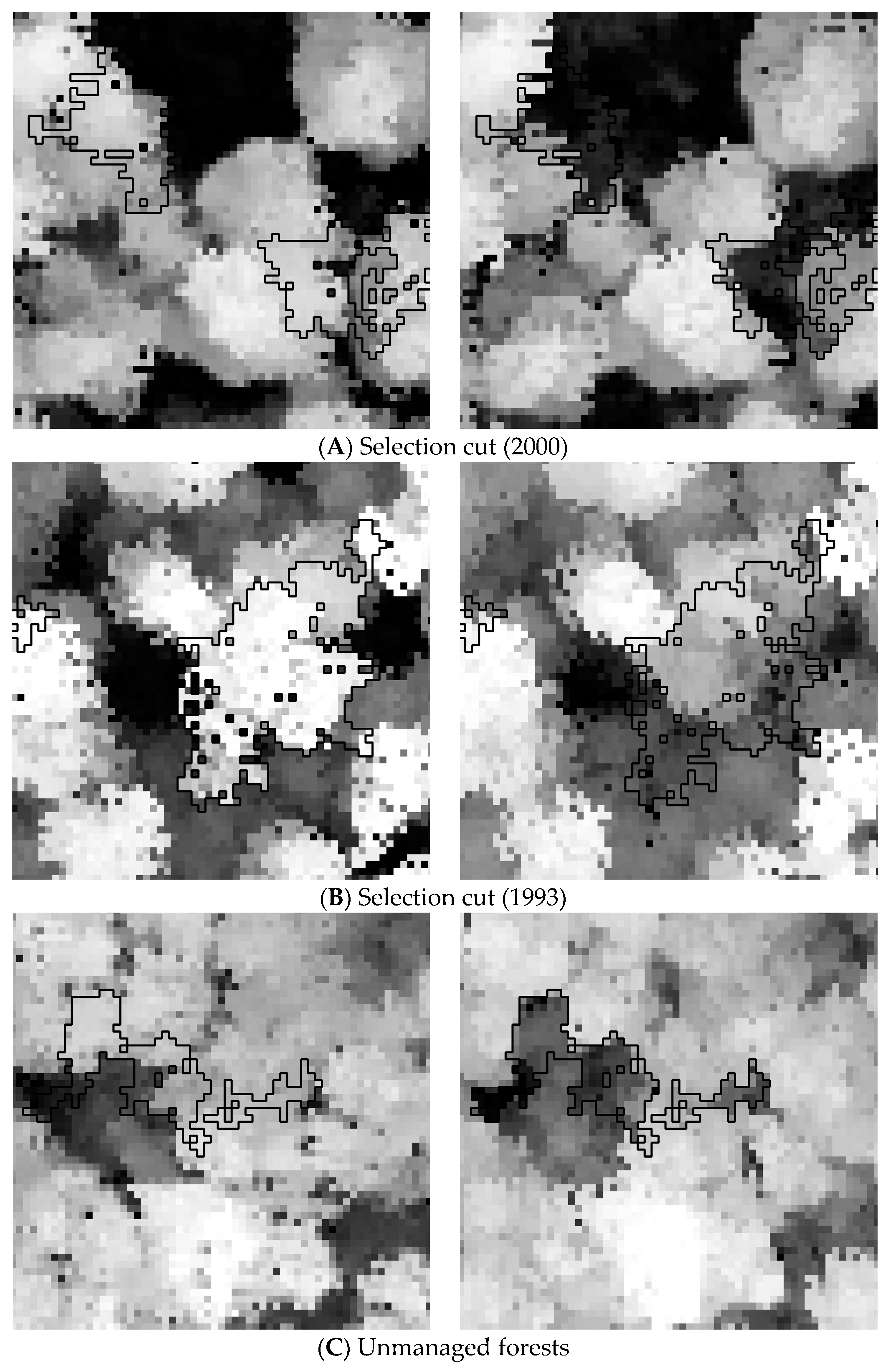 Remotesensing 10 00121 g001a Remotesensing 10 00121 g001a