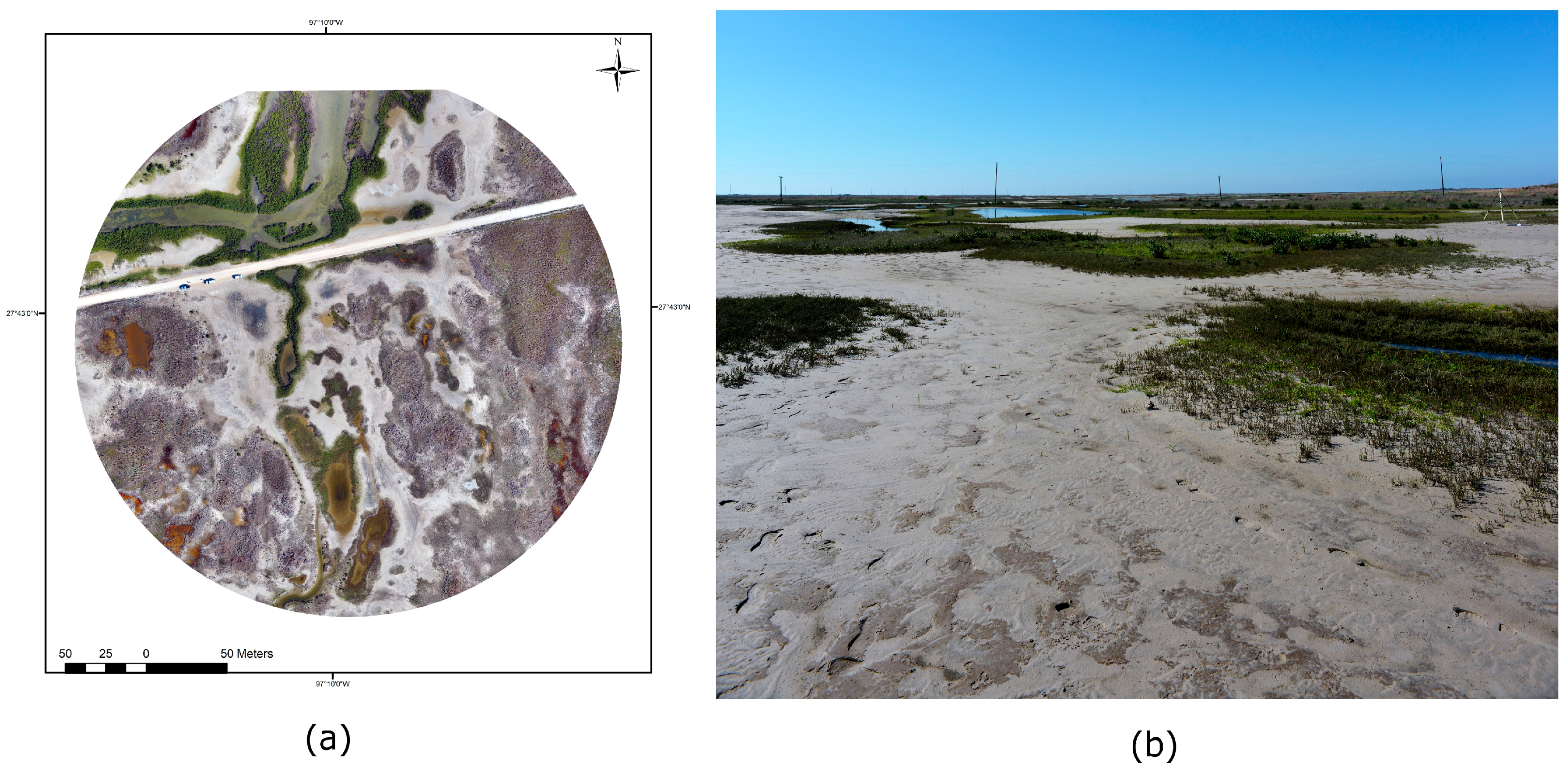 Remotesensing 10 00133 g002