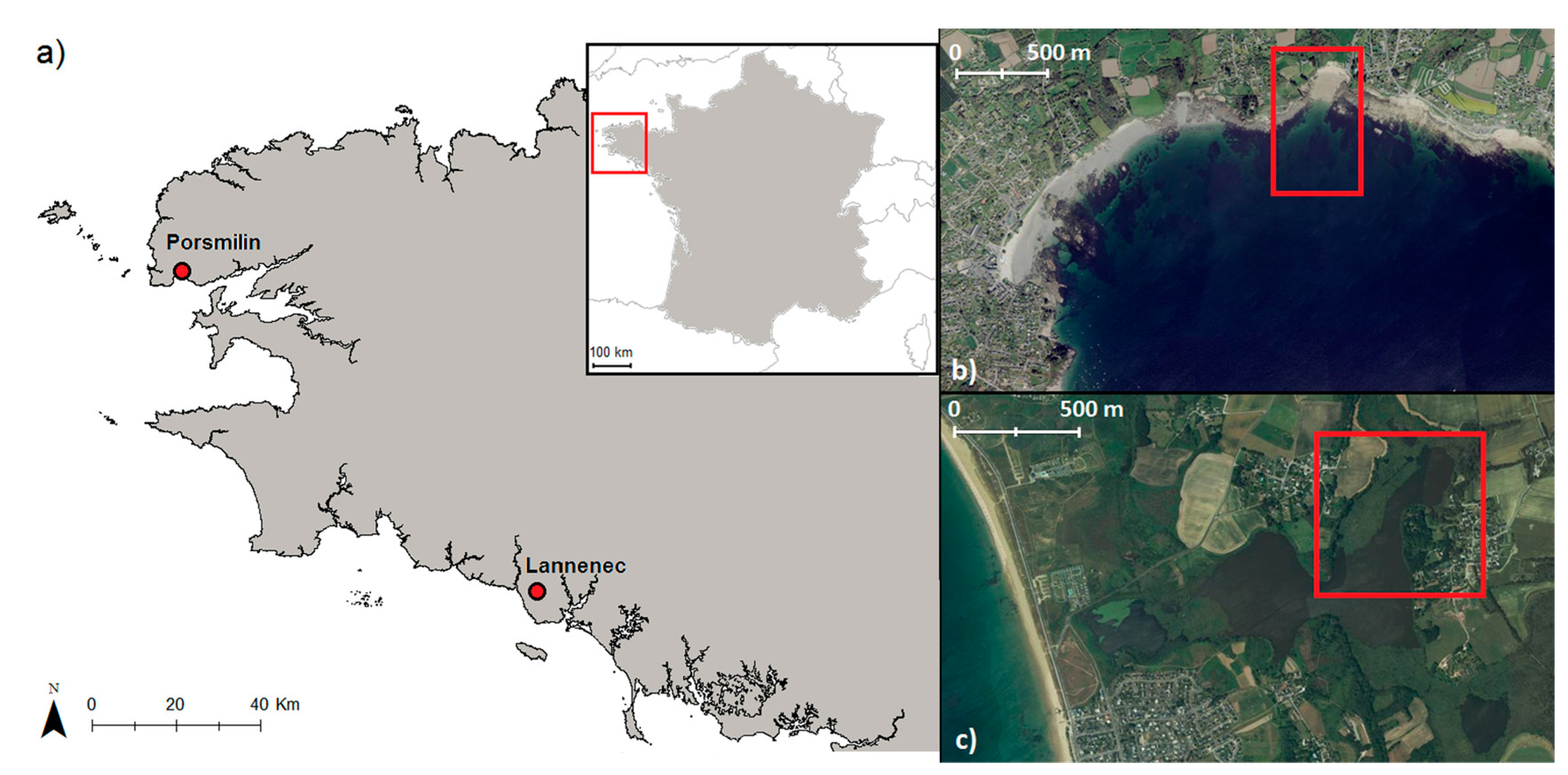 Remotesensing 10 00204 g005